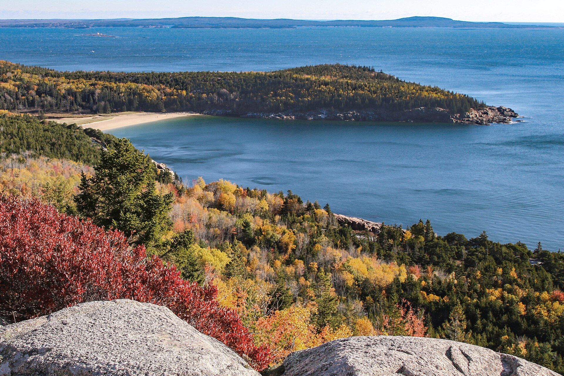 Autumn view from granite ledges on Gorham Mountain over red-leaved shrubs and yellow and orange forest to the curve of Sand Beach and the forested headland of Great Head in a blue Atlantic cove, Acadia National Park, Maine
