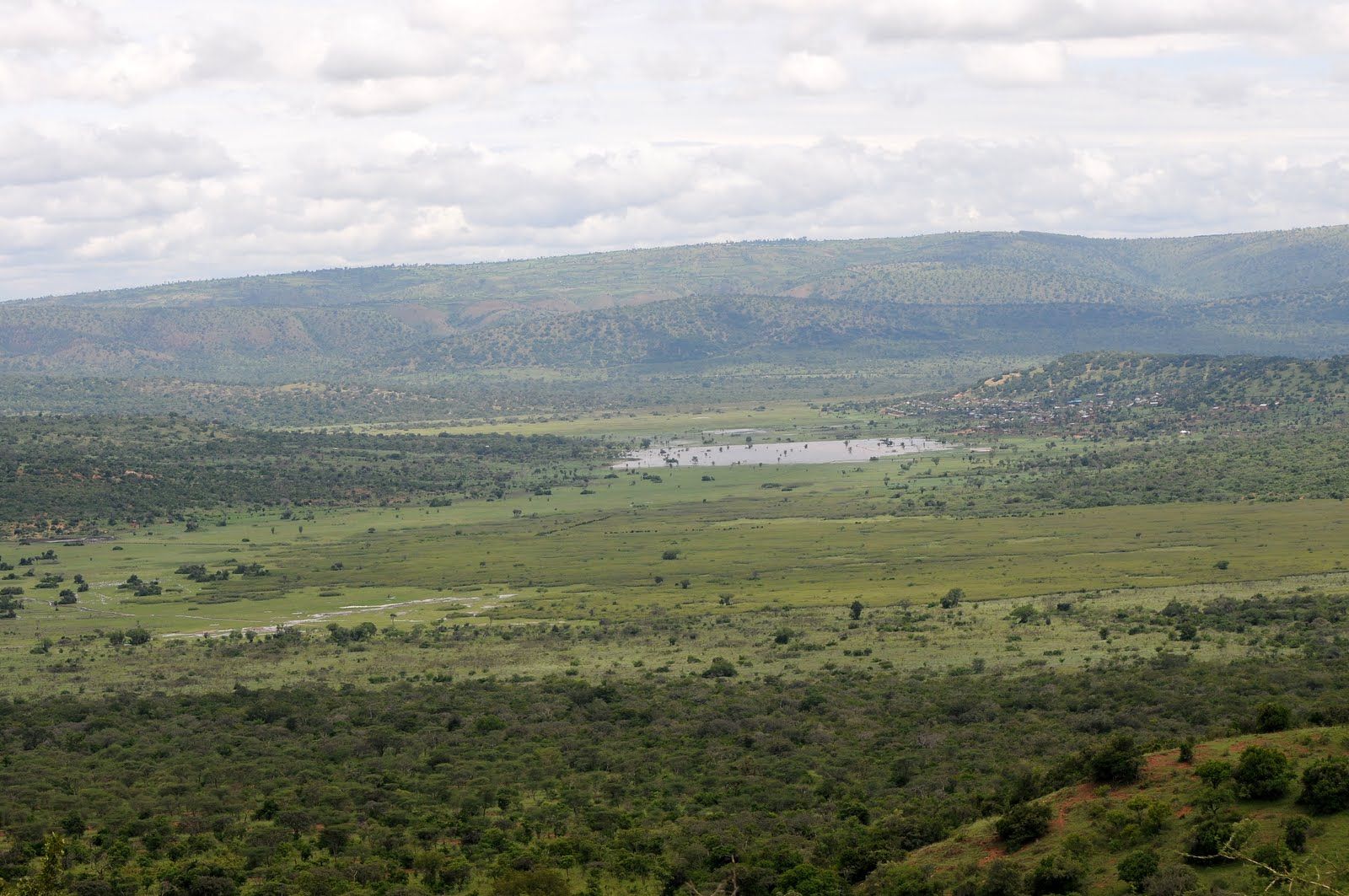 Akagera National Park, Eastern Province, Rwanda