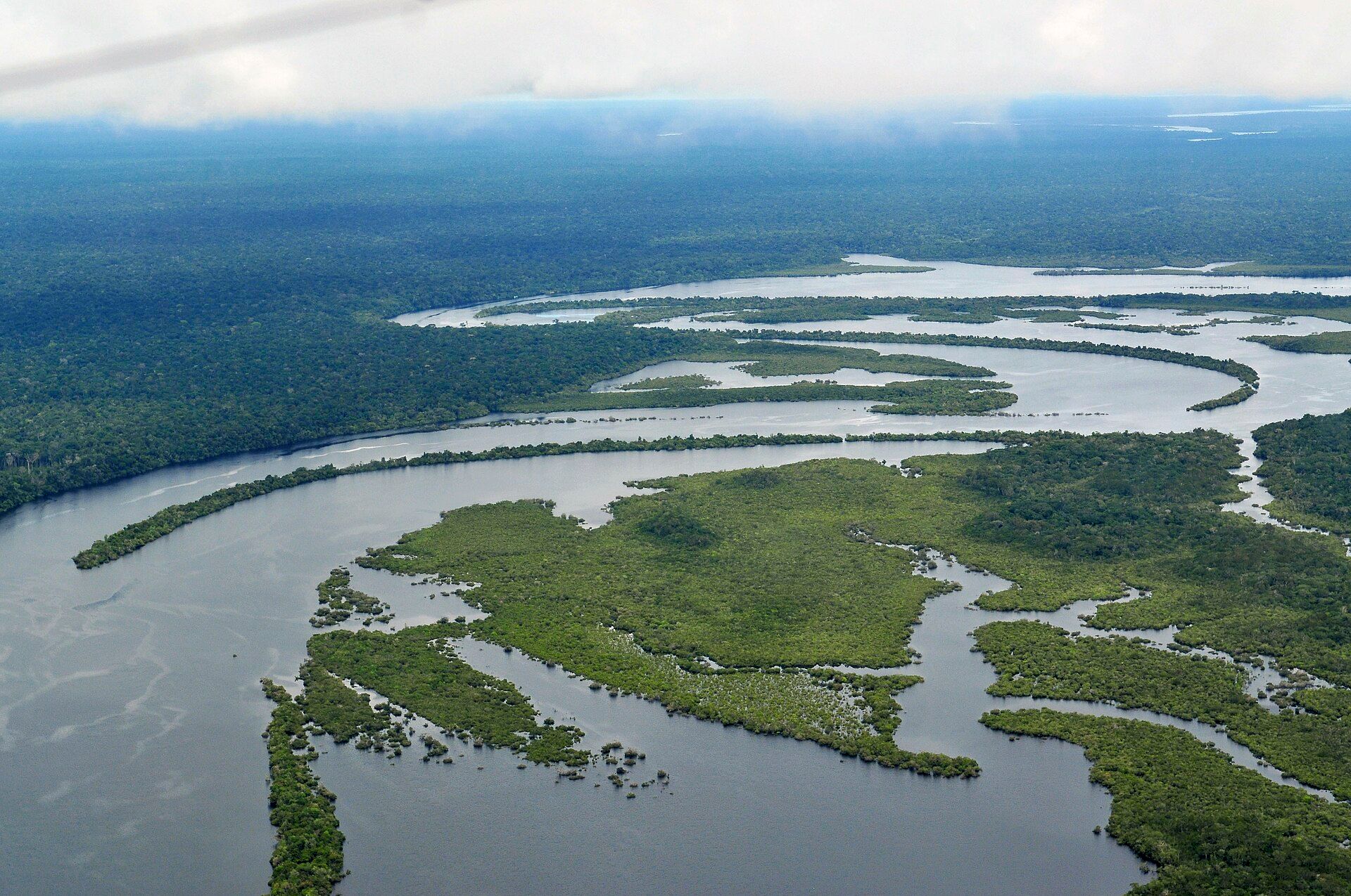 The Amazon Rainforest, Amazon Basin, Brazil (and neighbouring countries)