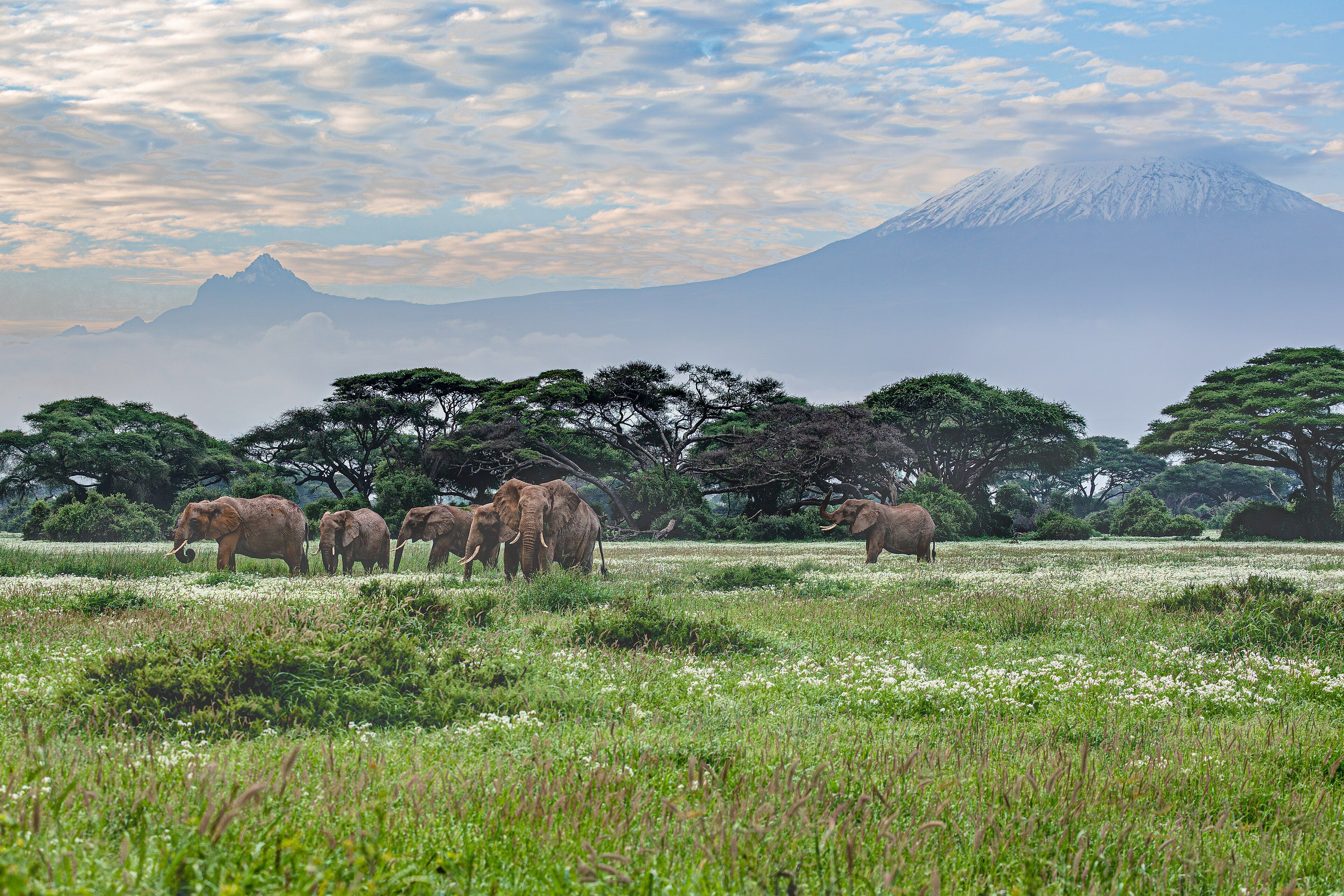 Amboseli National Park, Kajiado County, southern Kenya, on the Tanzanian border