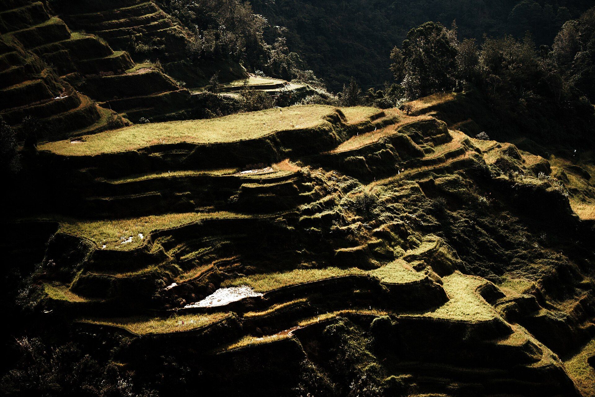 Banaue & the Ifugao Rice Terraces, Ifugao, Cordillera, Philippines