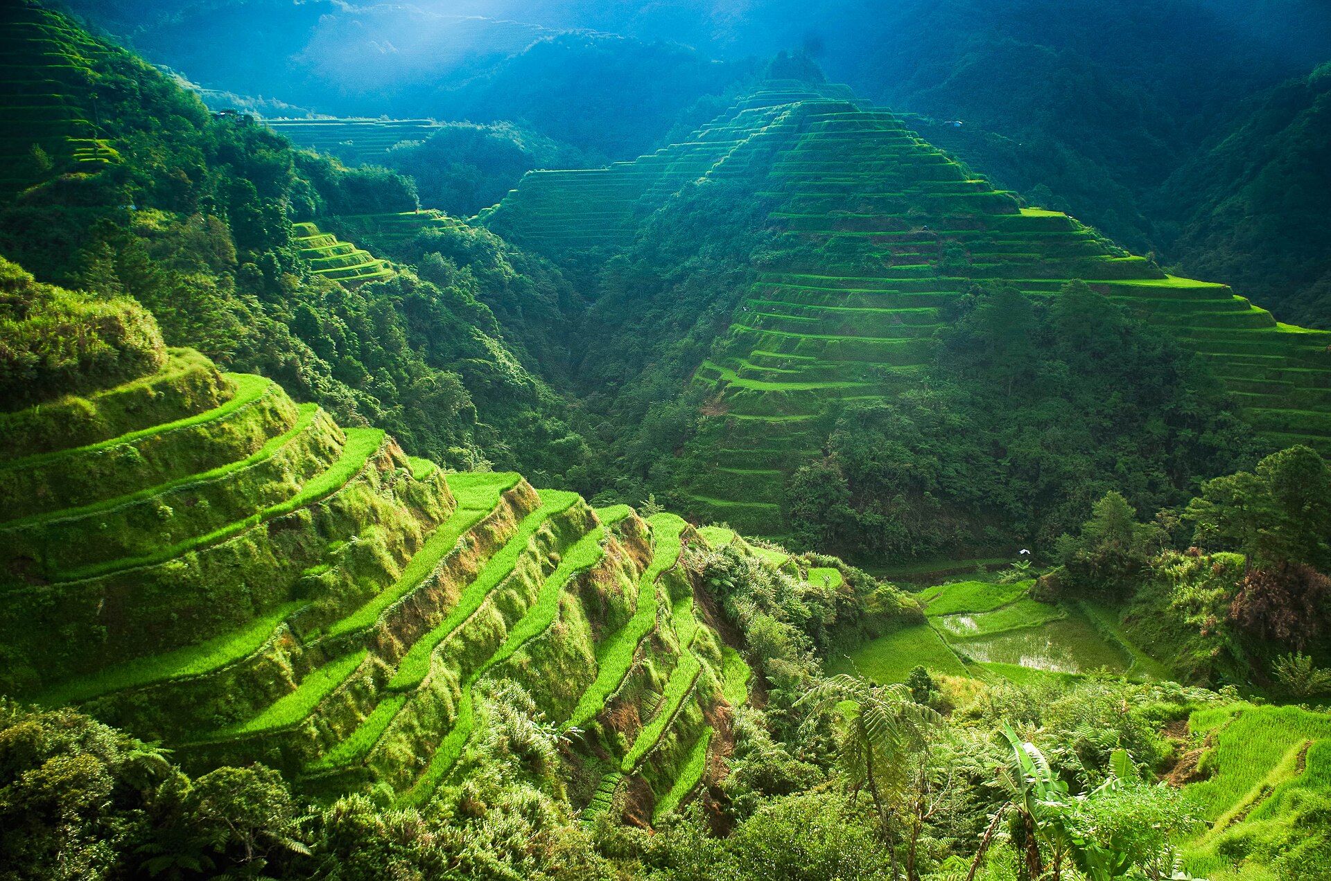 Banaue & the Ifugao Rice Terraces, Ifugao, Cordillera, Philippines