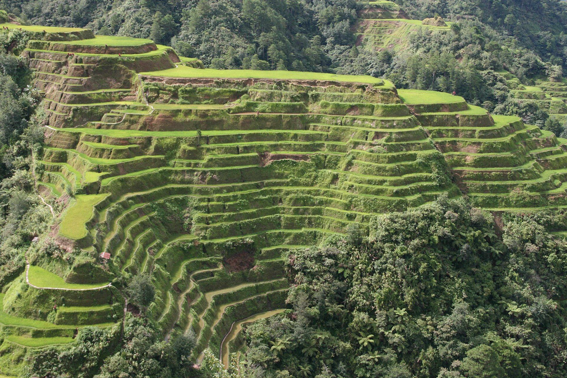 Banaue & the Ifugao Rice Terraces, Ifugao, Cordillera, Philippines