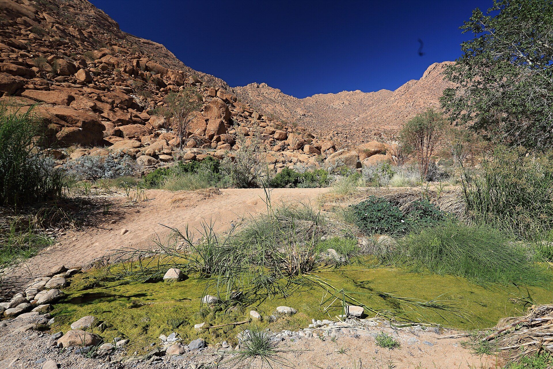 Brandberg Mountain, Damaraland, Erongo Region, Northwest Namibia