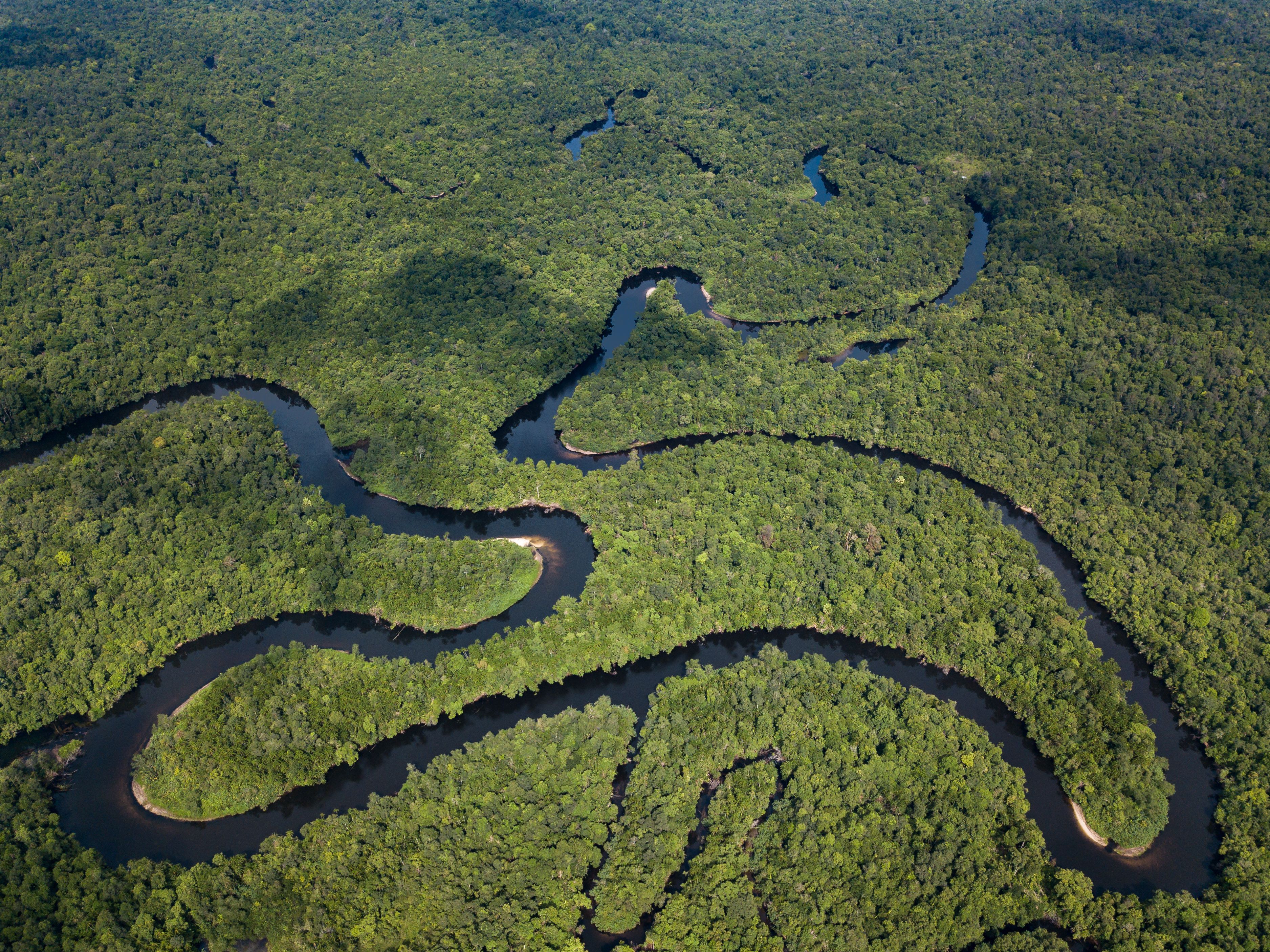 The Cardamom Mountains rainforest, Koh Kong Province, southwestern Cambodia
