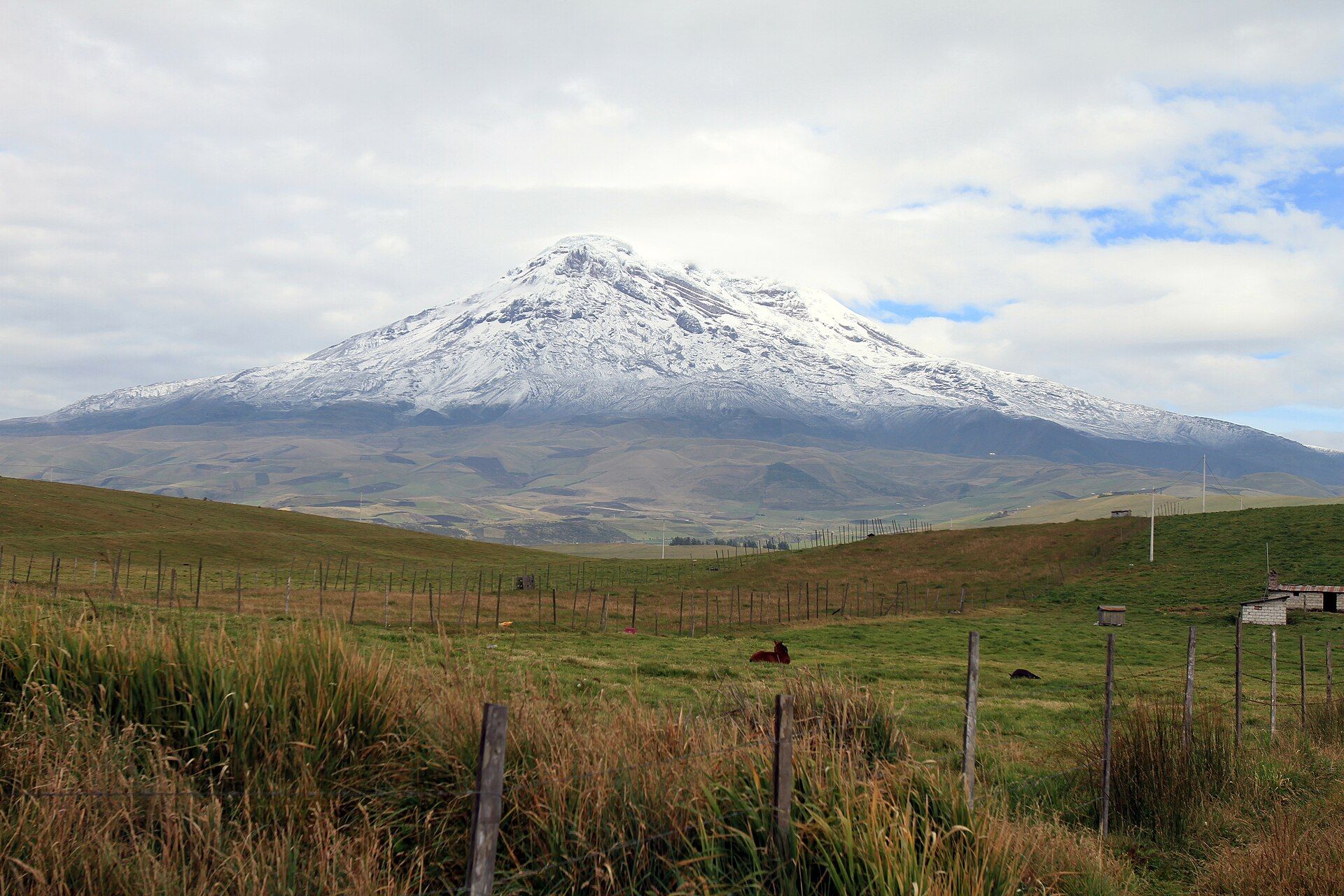 Snow-capped Chimborazo volcano rising above green Andean pastures in Ecuador