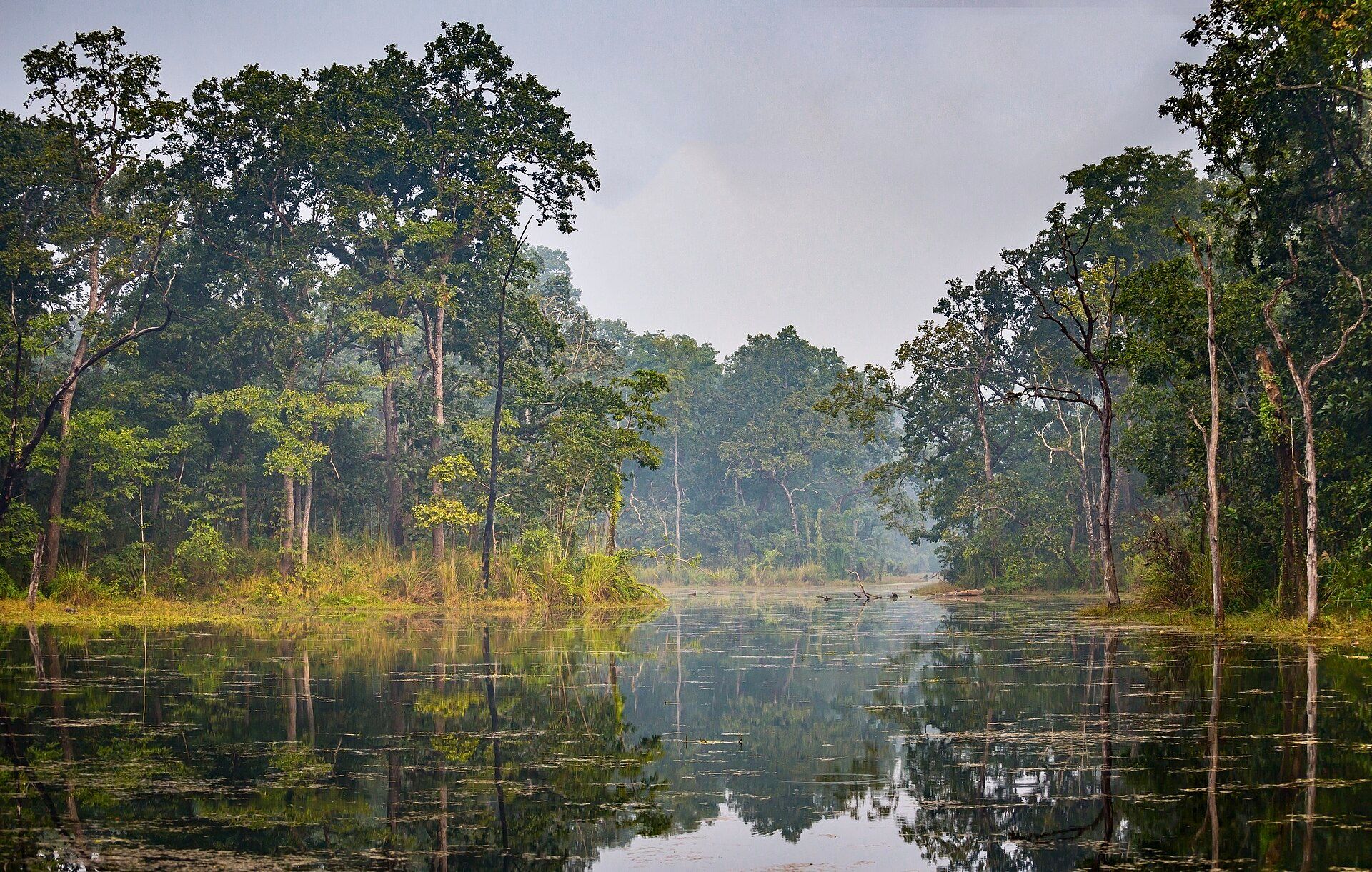 Chitwan National Park, Terai lowlands, southern Nepal
