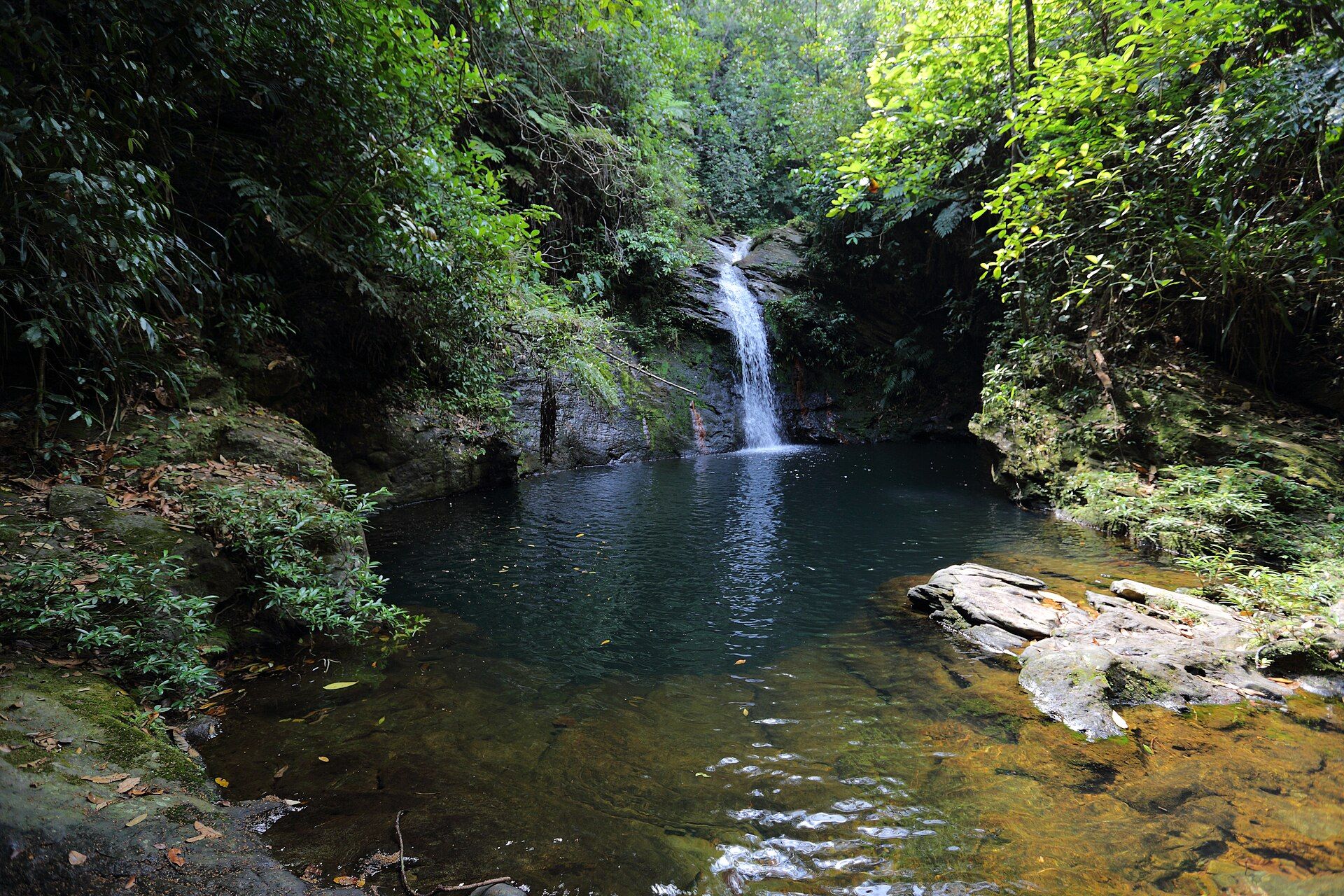 Waterfall falling into a clear pool surrounded by rainforest in Cockscomb Basin Wildlife Sanctuary, Belize