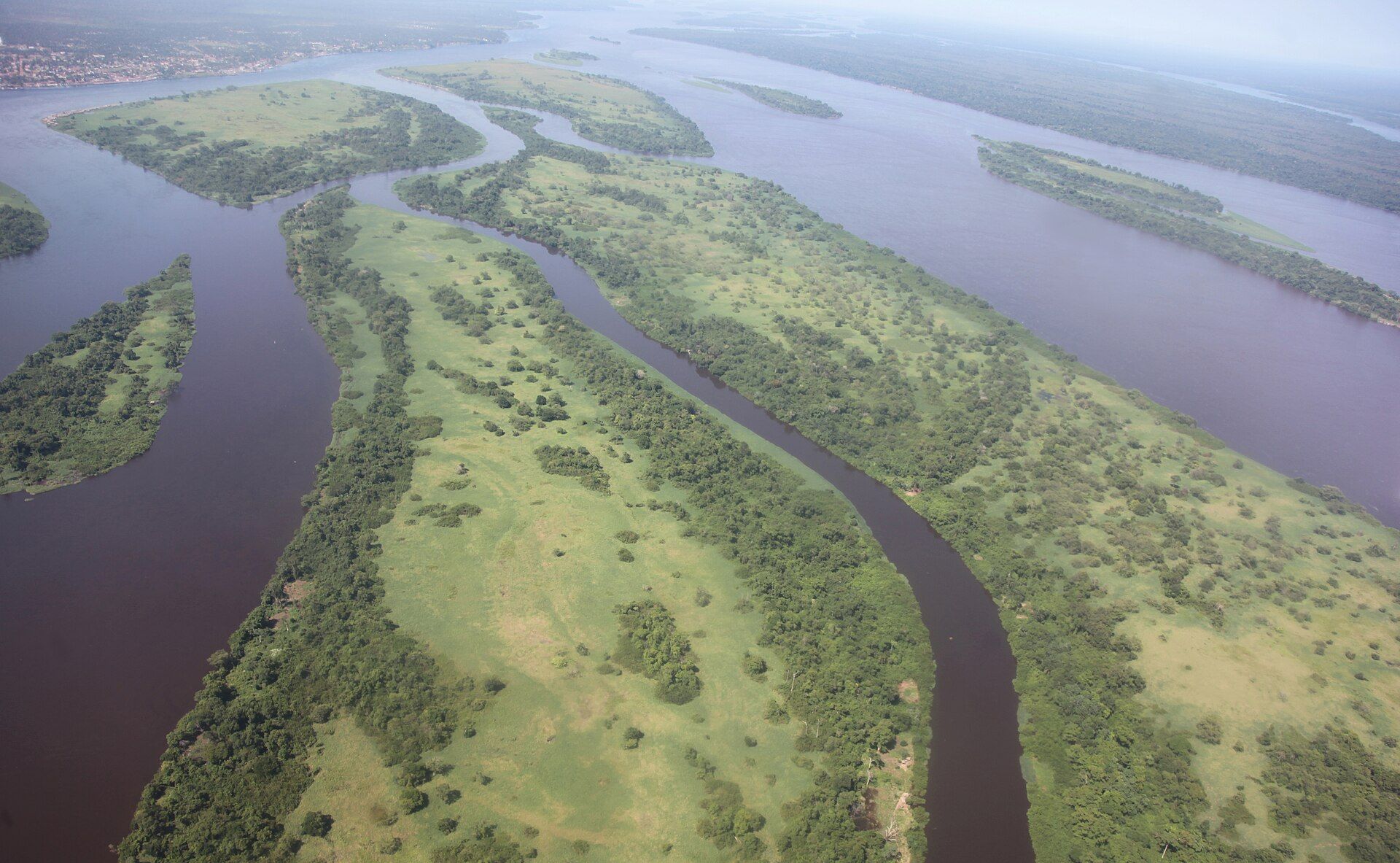 Congo Basin Rainforest, Central Africa
