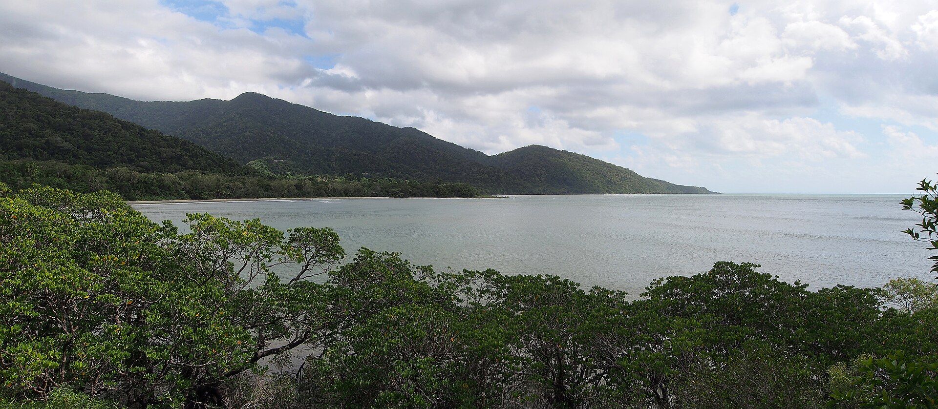 Rainforest-covered mountains meeting the Coral Sea at Cape Tribulation, Daintree, Queensland