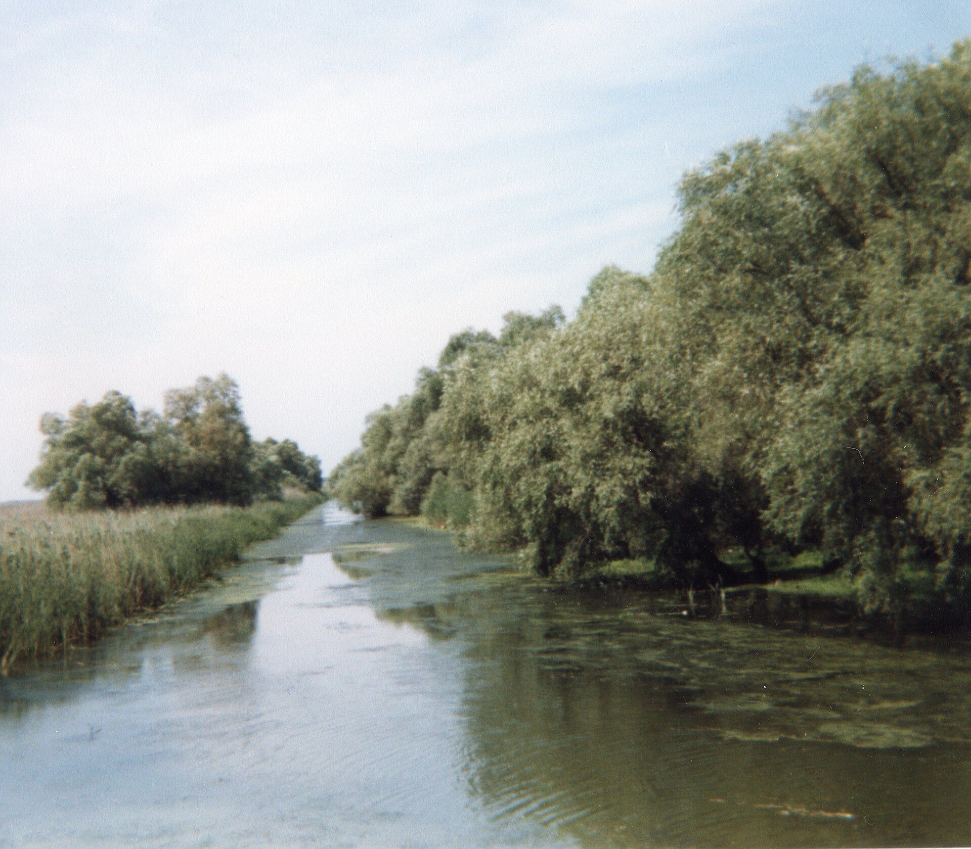 The Danube Delta, Where the Danube meets the Black Sea, eastern Romania