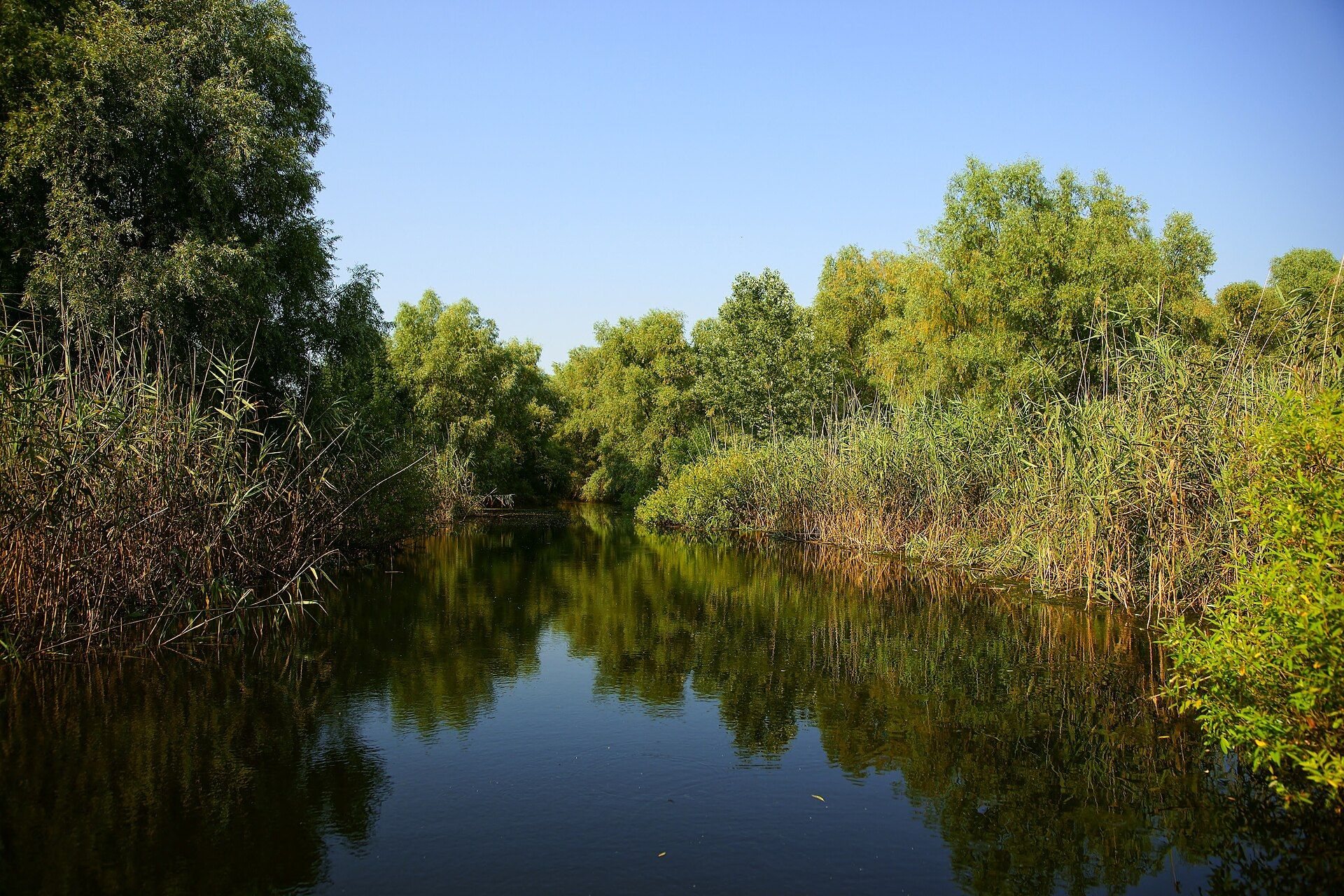 The Danube Delta, Where the Danube meets the Black Sea, eastern Romania