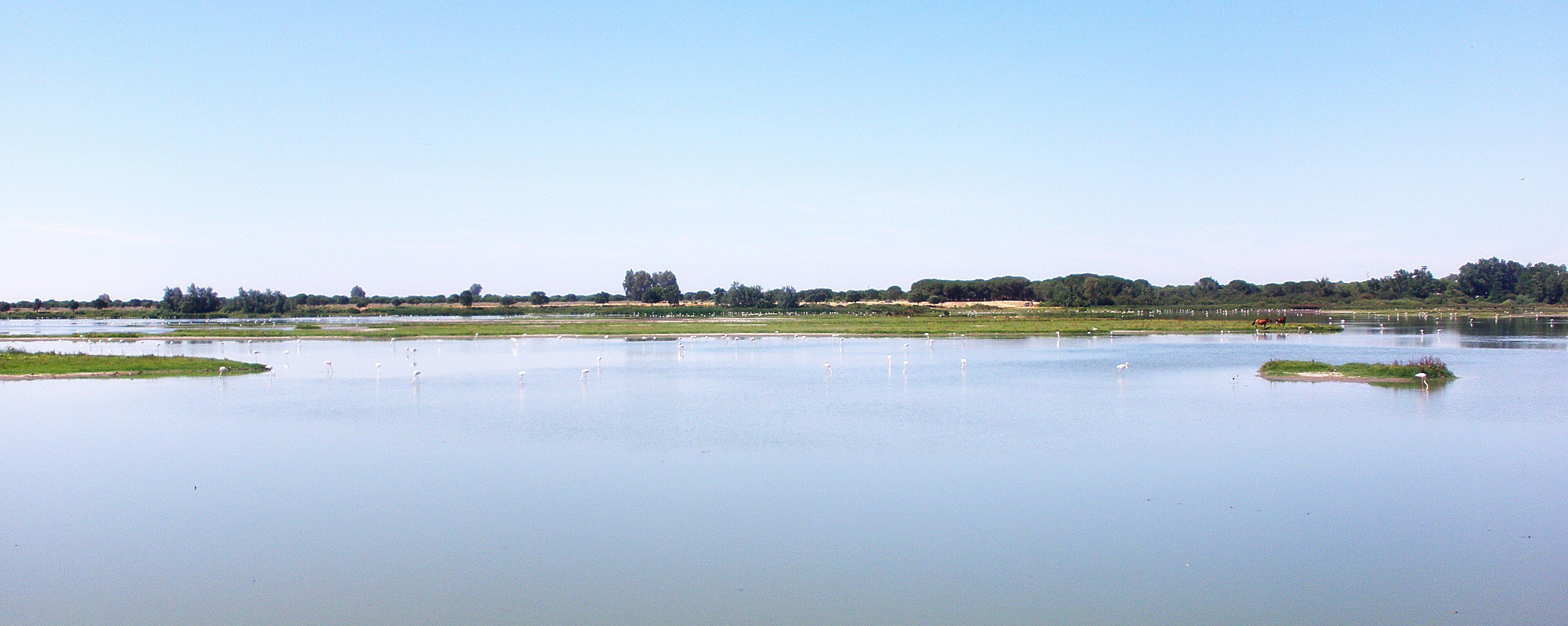 Doñana, Andalusia, southwestern Spain