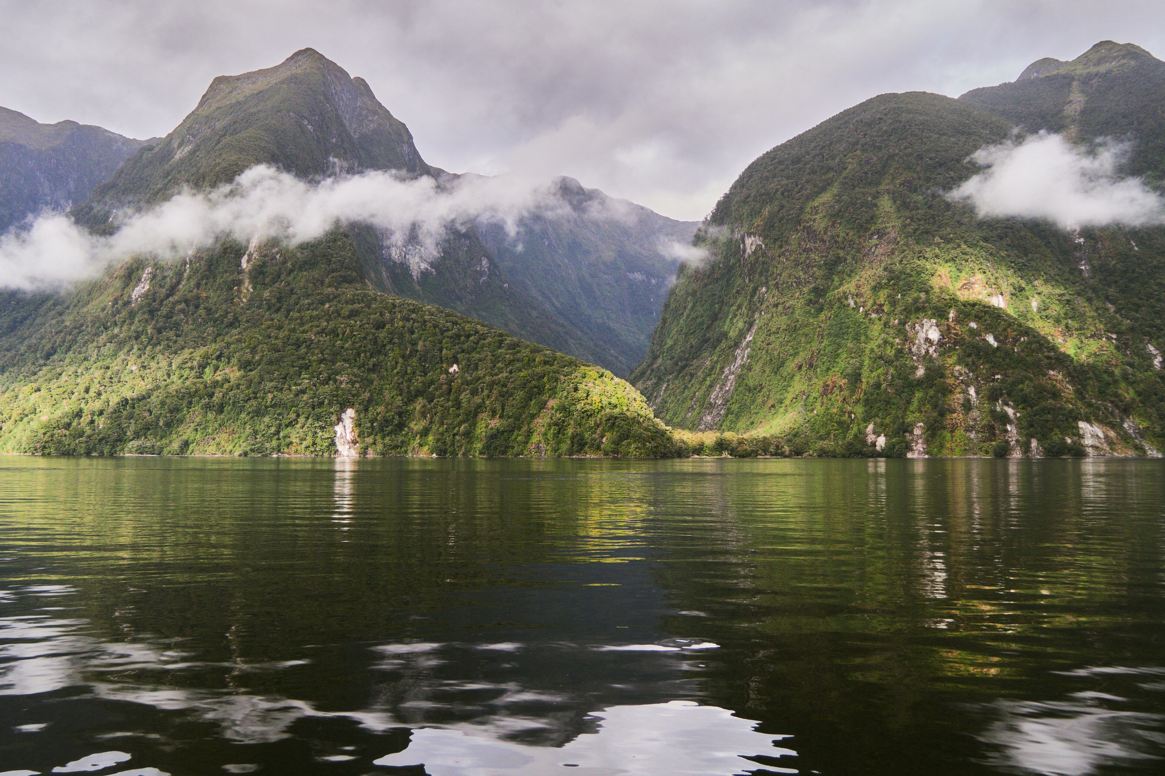 Doubtful Sound, Fiordland National Park, South Island, New Zealand