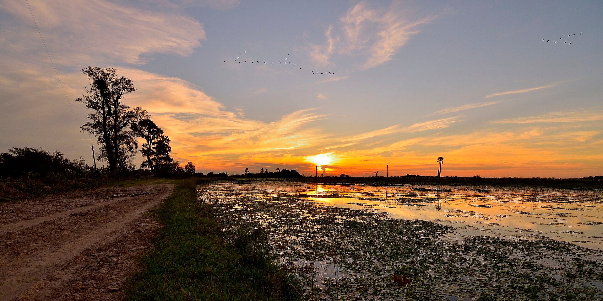 Esteros del Iberá, Corrientes Province, northeastern Argentina