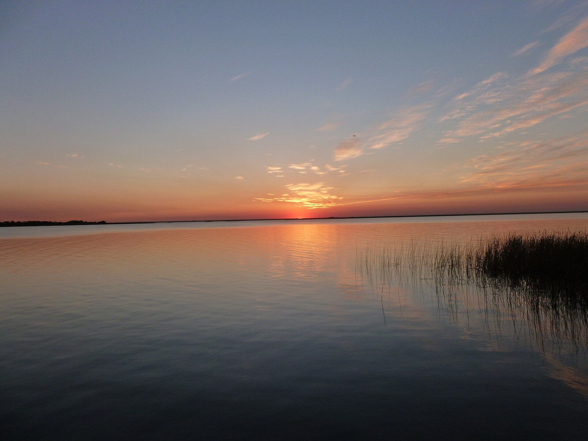 Esteros del Iberá, Corrientes Province, northeastern Argentina