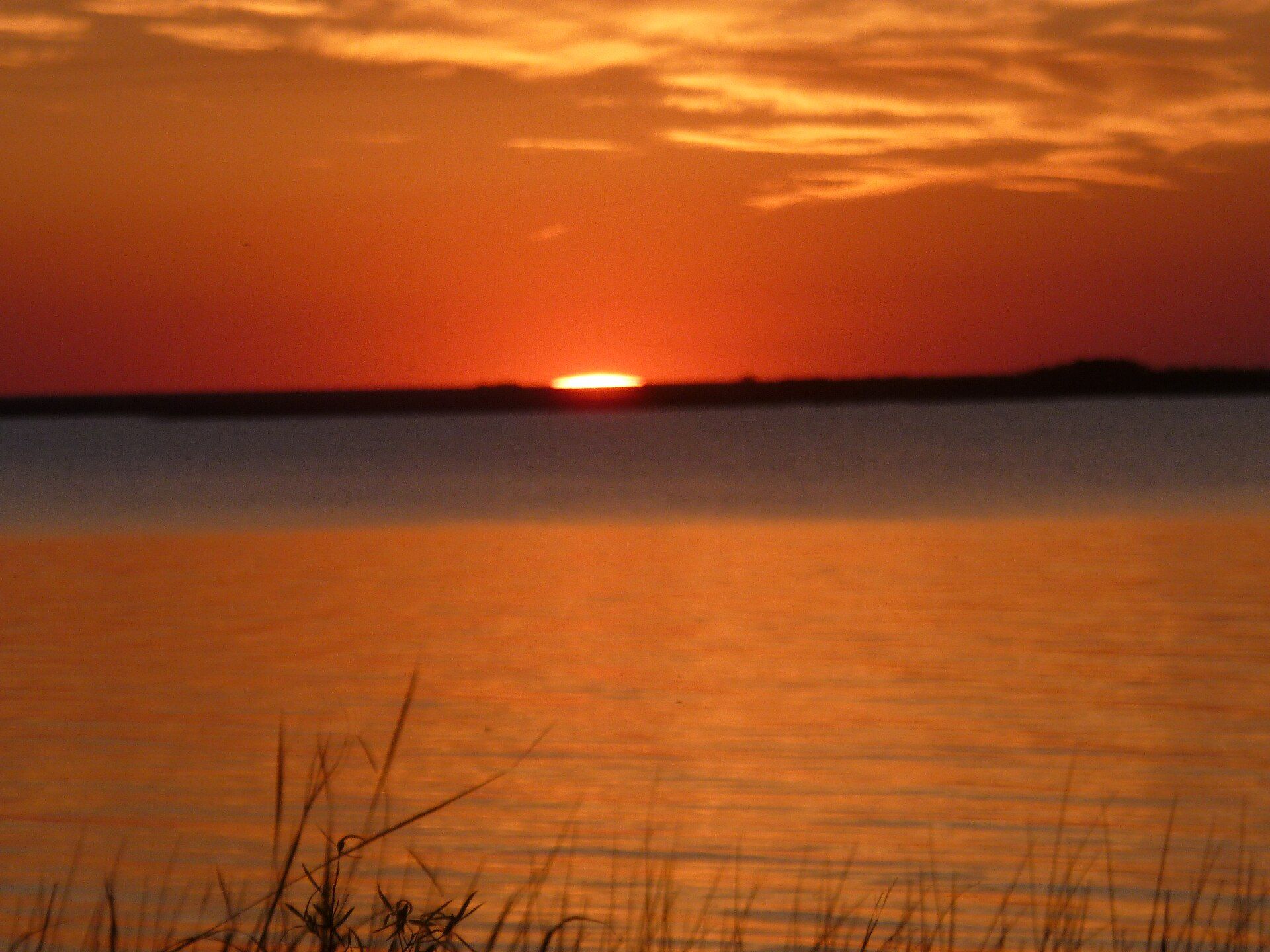 Esteros del Iberá, Corrientes Province, northeastern Argentina