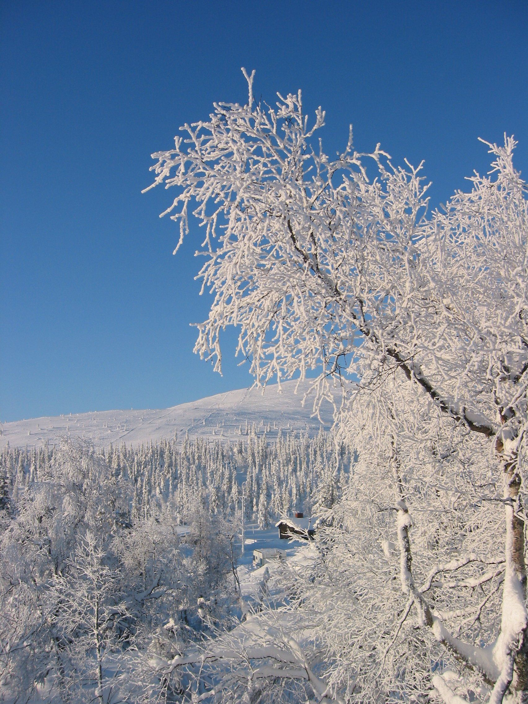 Finnish Lapland, Northern Finland, above the Arctic Circle