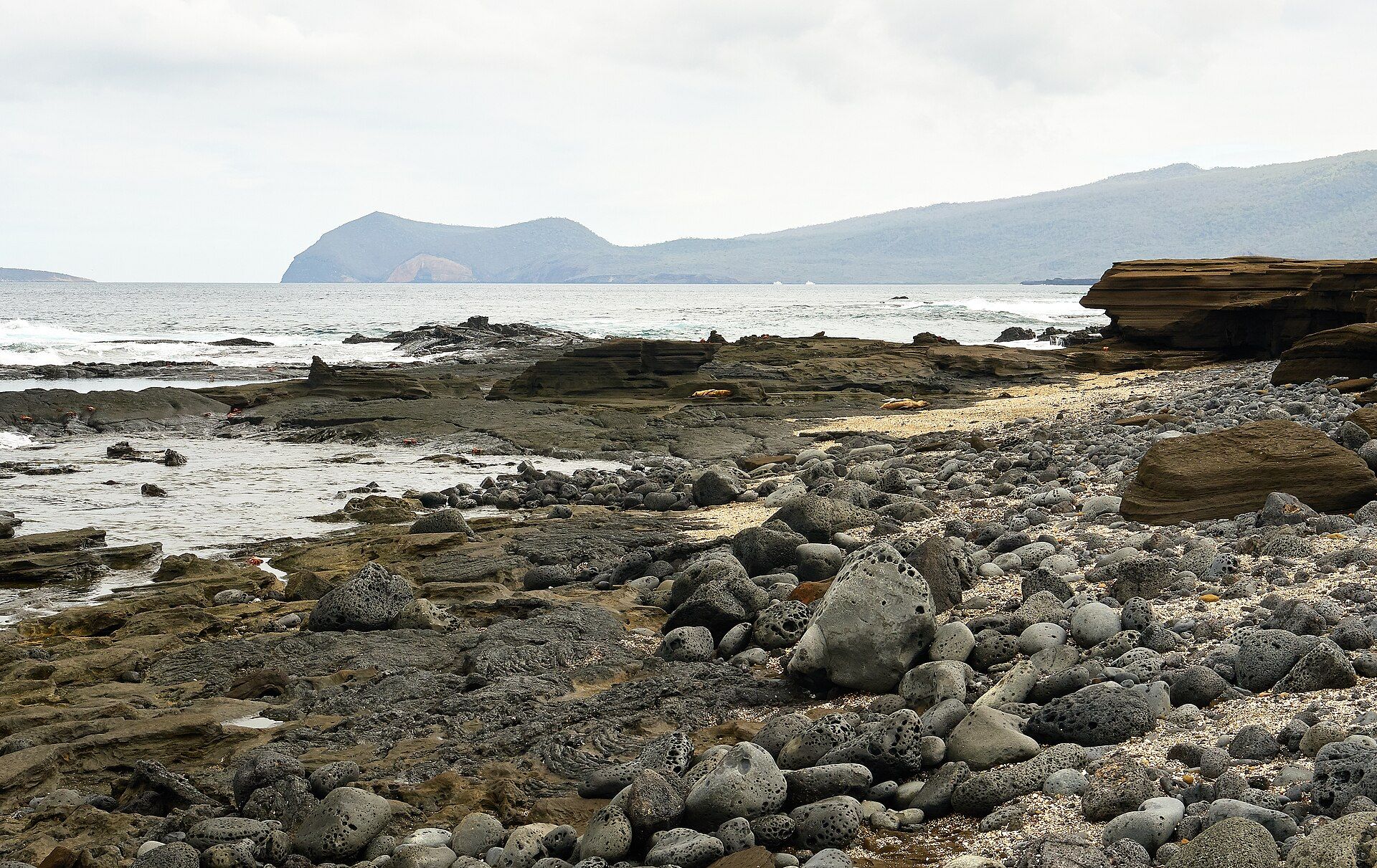 The Galápagos Islands, Pacific Ocean, ~1,000 km west of Ecuador