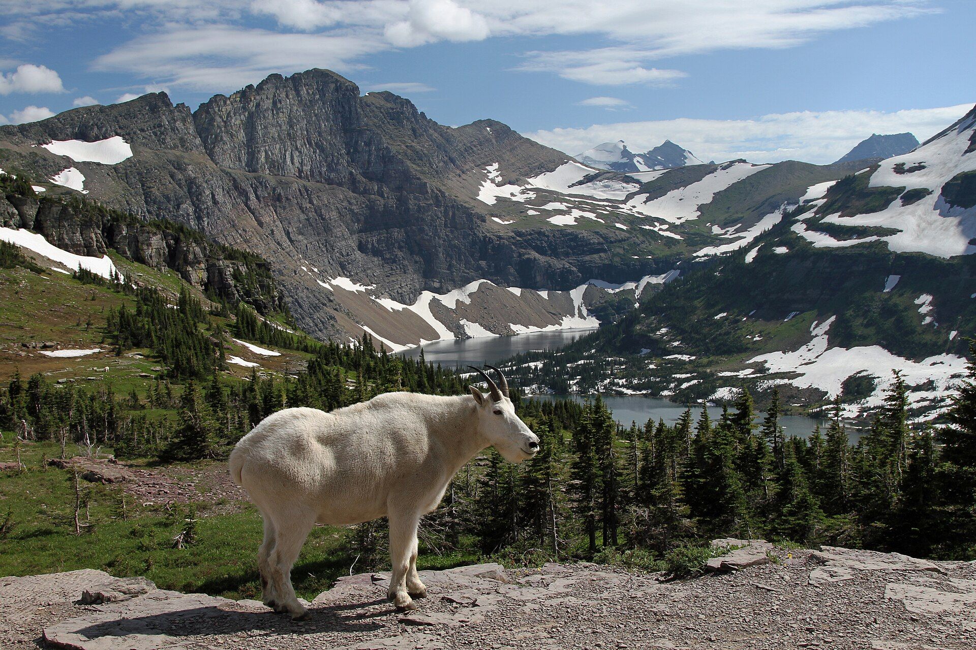 Glacier National Park, Montana, USA