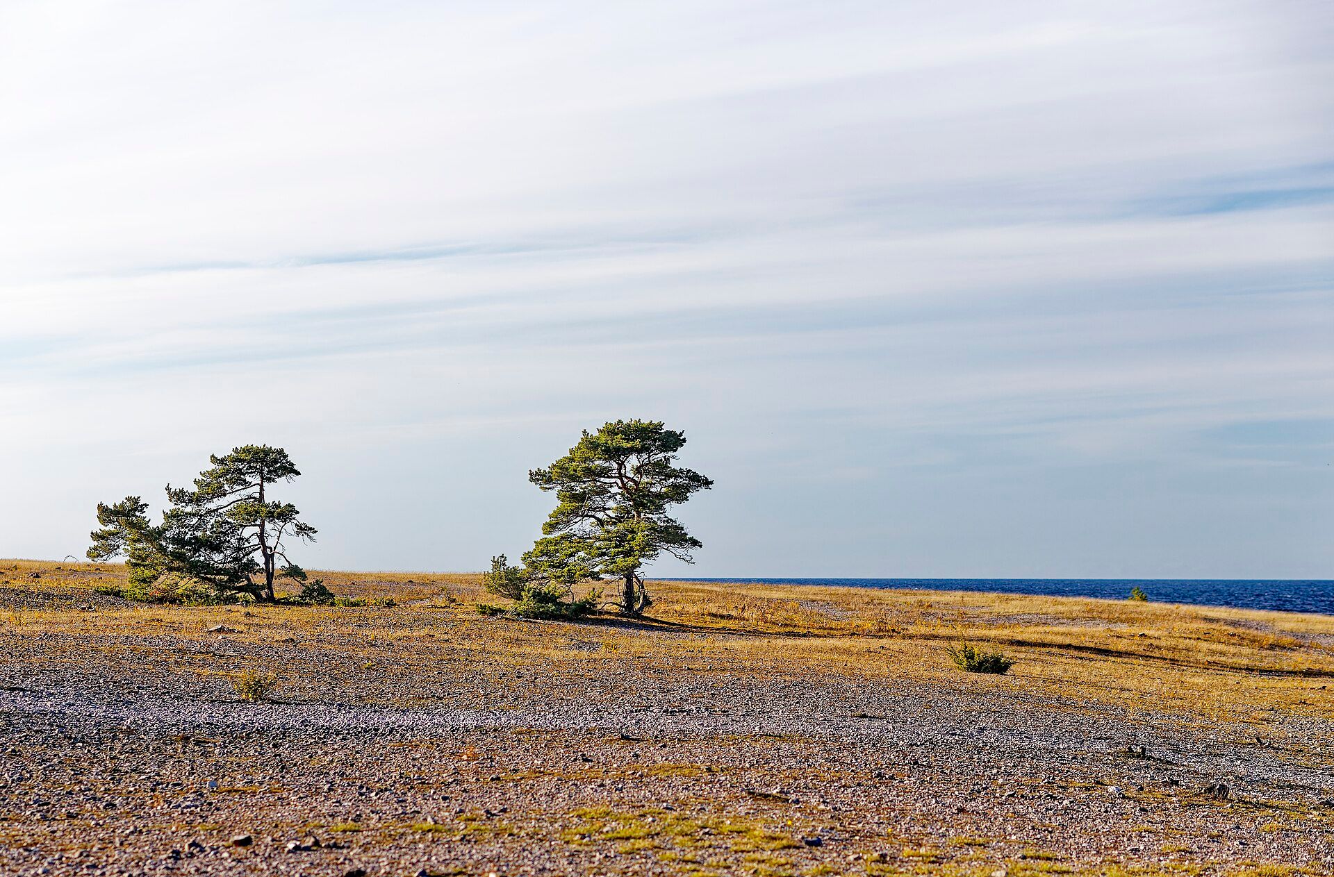 Gotland & the Raukar, Baltic Sea, southeastern Sweden