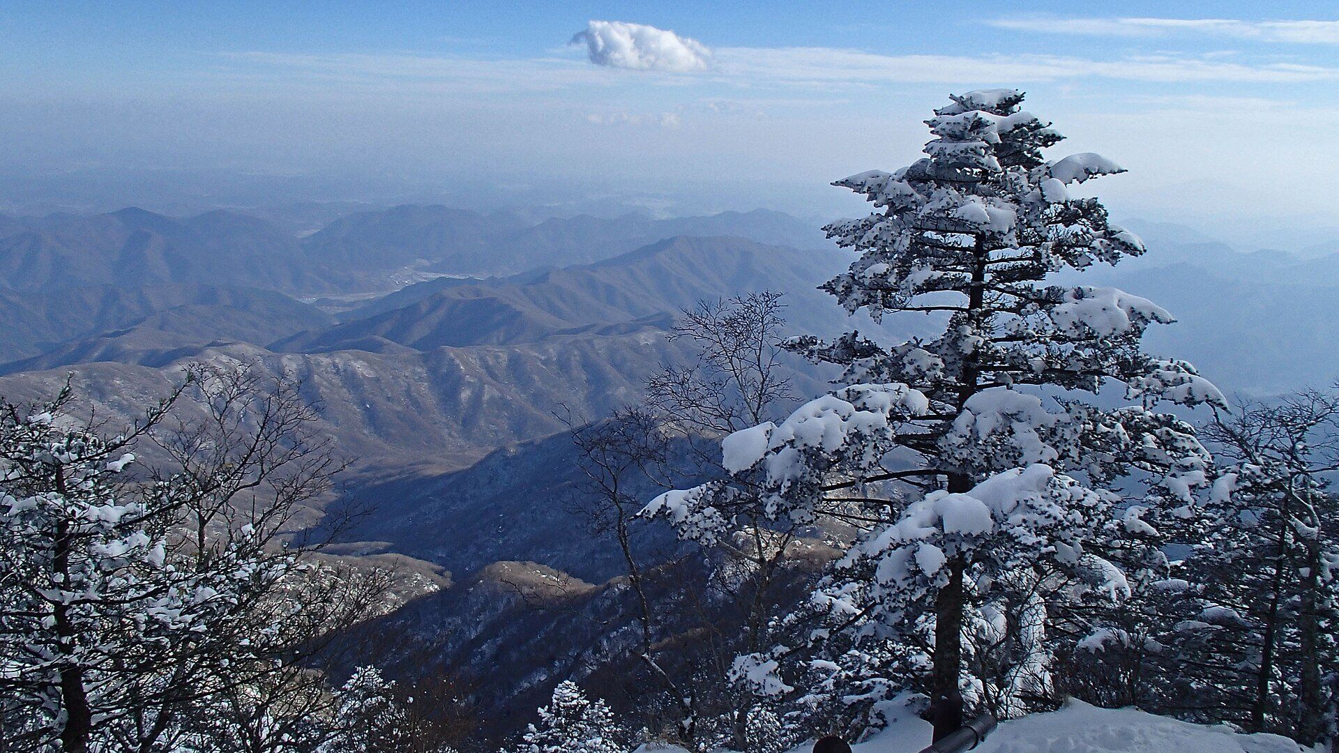 Snow-laden fir tree on a high ridge of Jirisan, looking out over layered blue mountain ridges and a distant valley under a pale sky