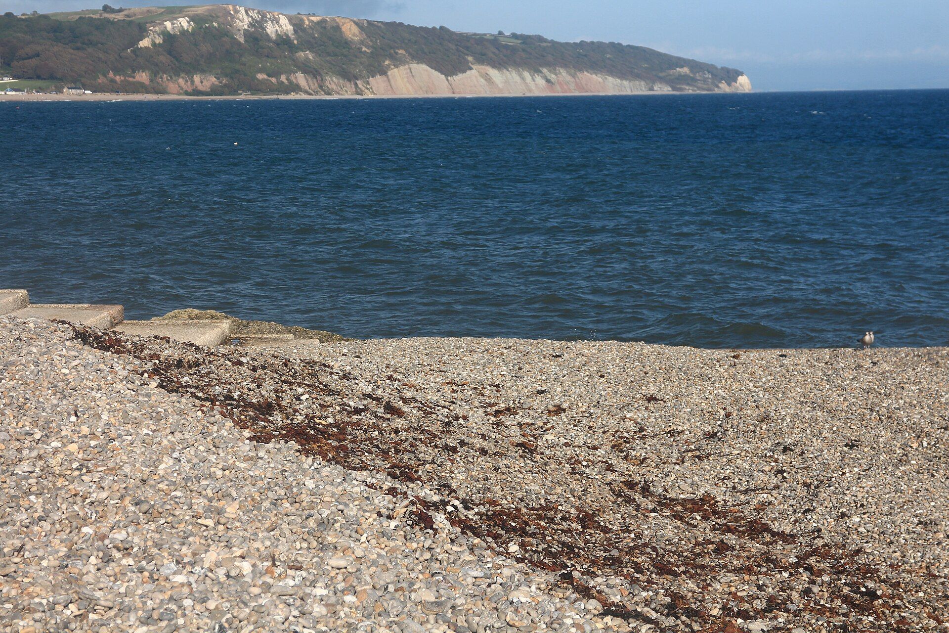 The Jurassic Coast, Dorset and East Devon, South West England, United Kingdom