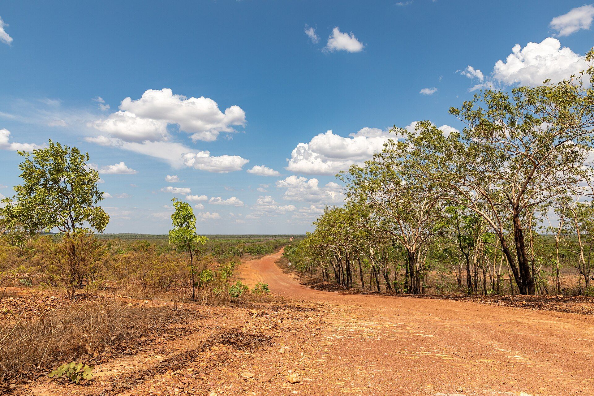 Kakadu, Northern Territory, Australia