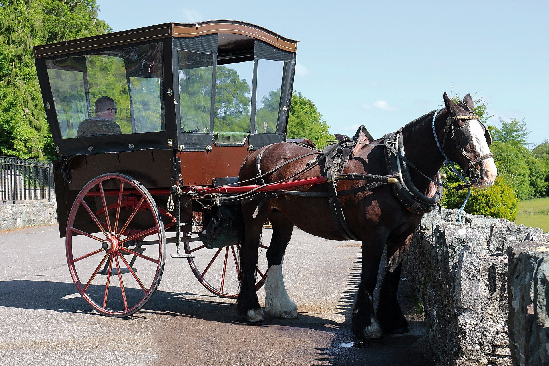 Killarney National Park, County Kerry, Ireland