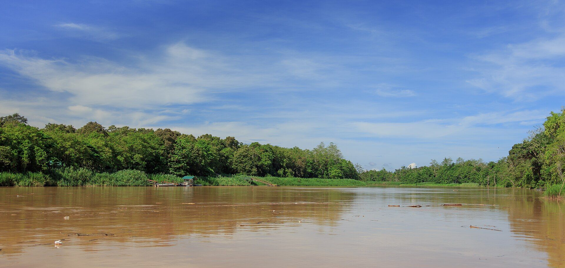 Kinabatangan River, Sabah, Malaysian Borneo