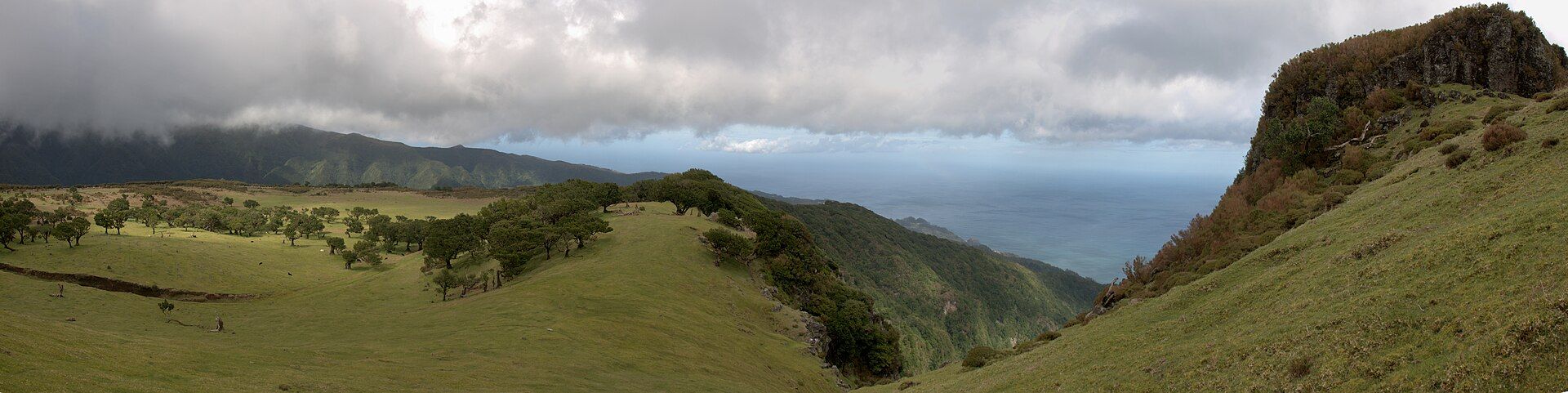Laurisilva of Madeira, Madeira, Portugal (North Atlantic)