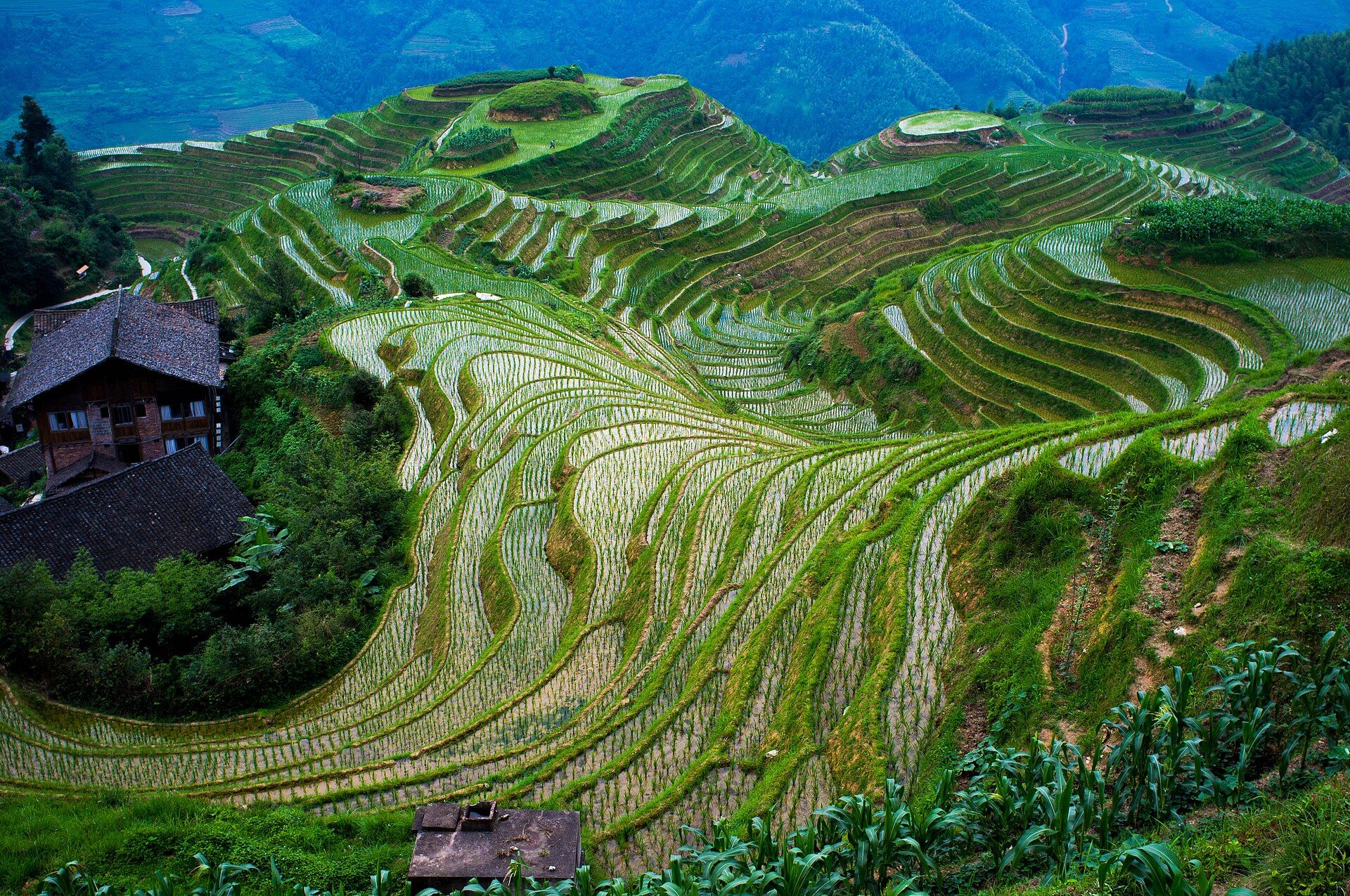 Longji Rice Terraces, Longsheng County, Guangxi, China