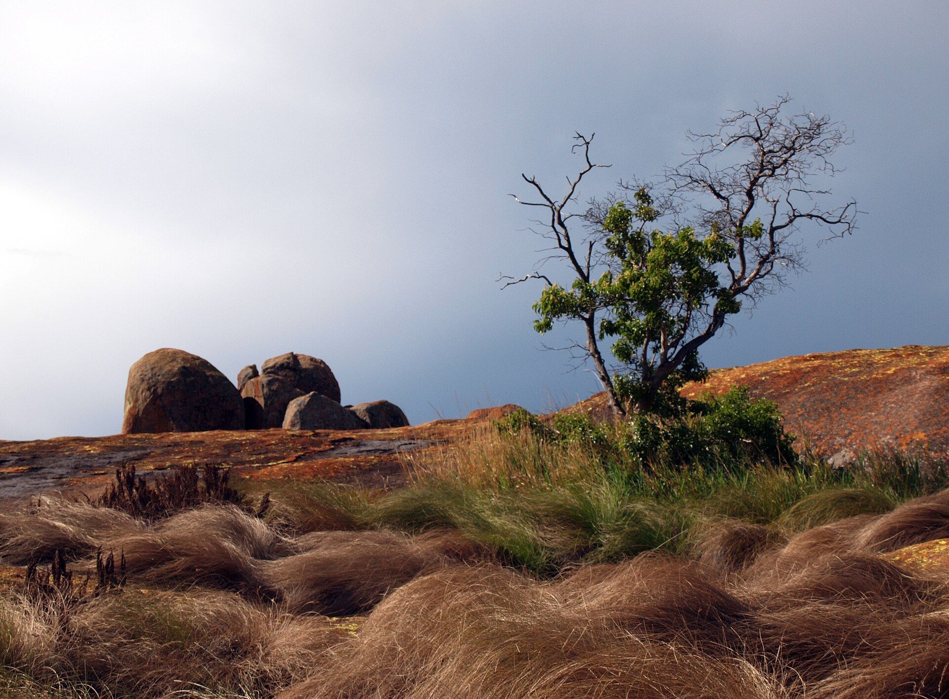 Rounded granite boulders on top of a bare, lichen-orange granite dome, with a small tree and windswept grass in the foreground under a stormy grey sky, Matobo Hills, Zimbabwe