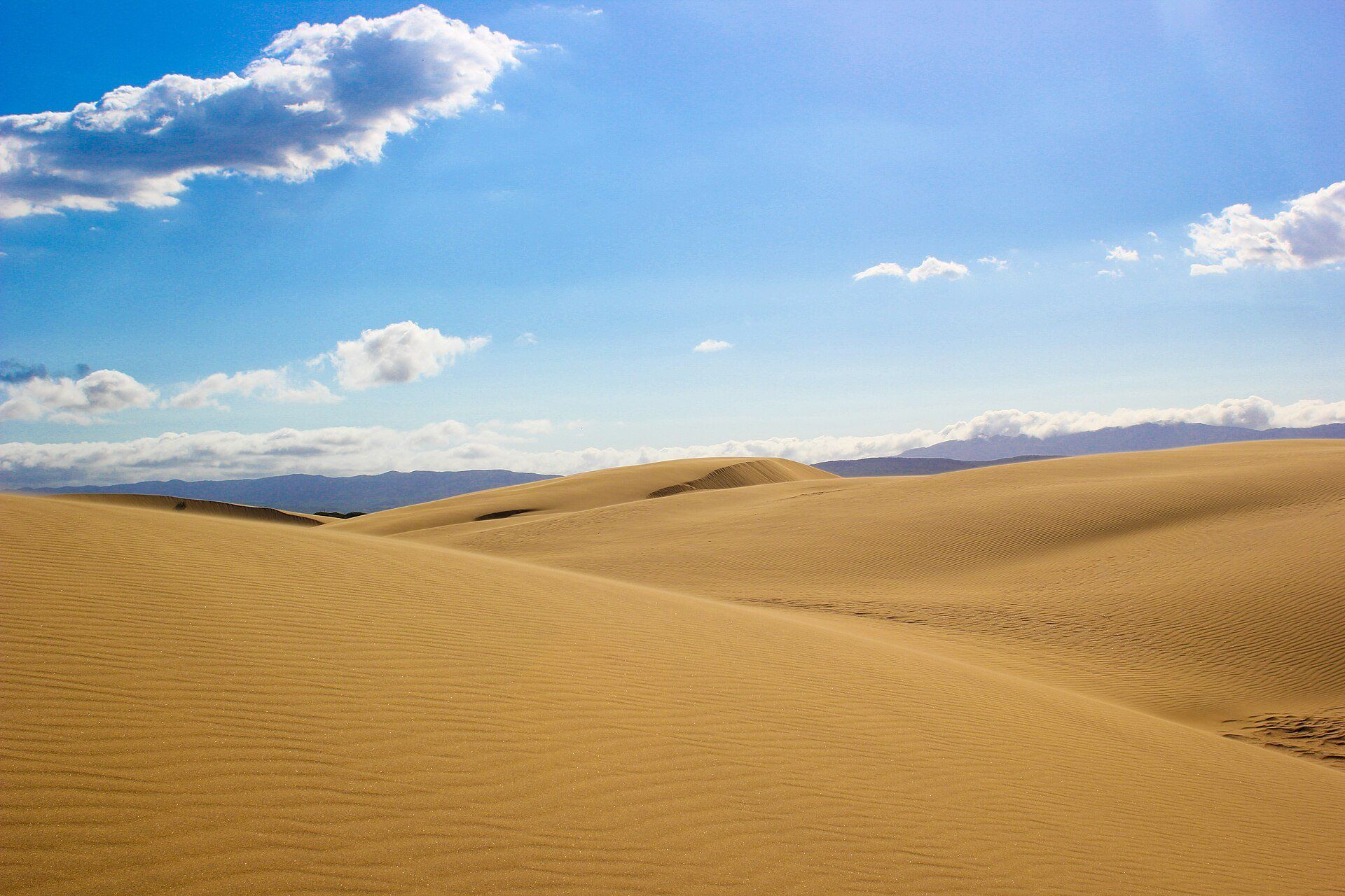 Rippled sand dunes of Médanos de Coro National Park under a blue sky with distant hills, Falcón, Venezuela