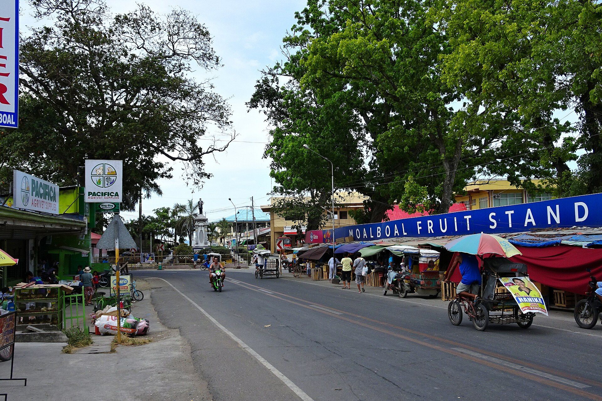 Moalboal Sardine Run, Moalboal, Cebu, Central Visayas, Philippines