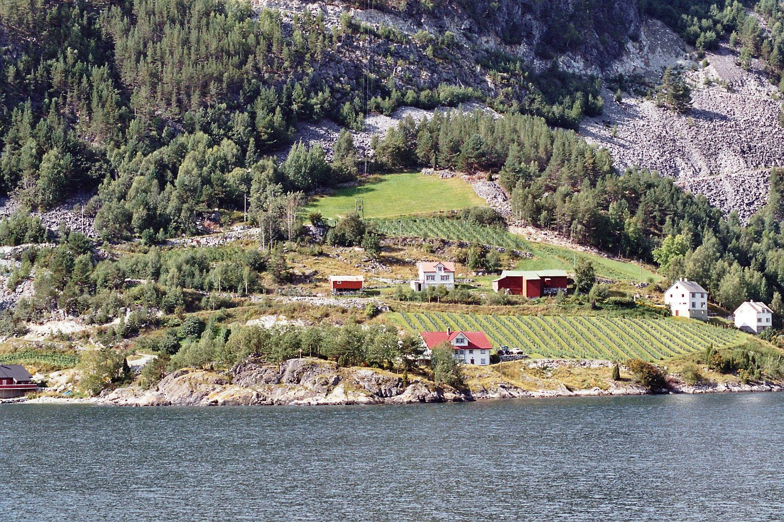 Nærøyfjord, Aurland, Vestland, Western Norway