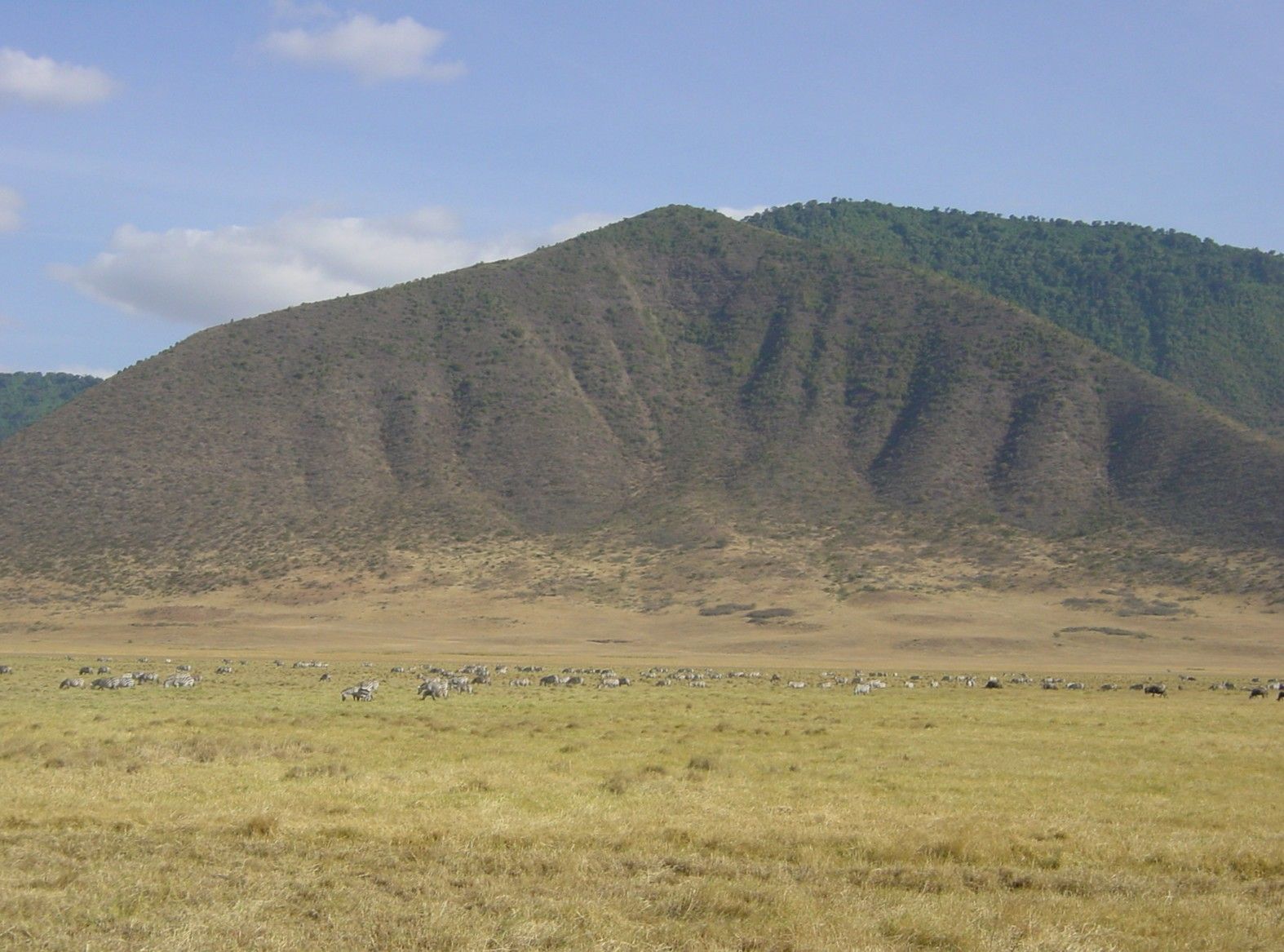 Ngorongoro Crater, Ngorongoro Highlands, Northern Tanzania
