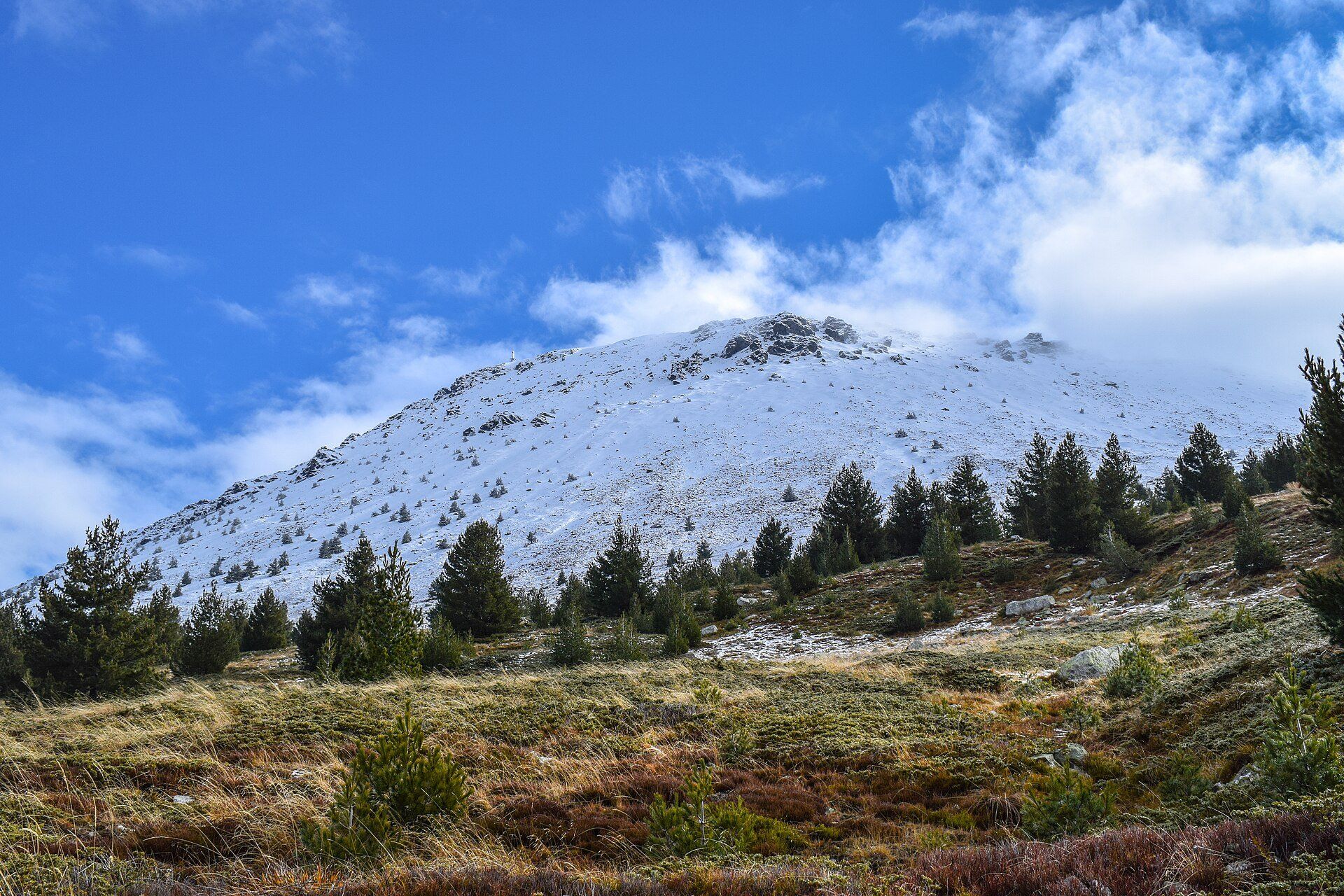Snow-dusted slopes of Pelister above autumn moorland and young pines, Pelister National Park, North Macedonia