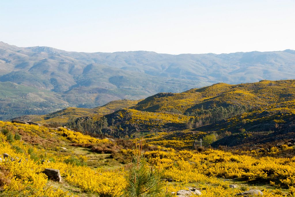 Peneda-Gerês National Park, Northern Portugal, on the Spanish border
