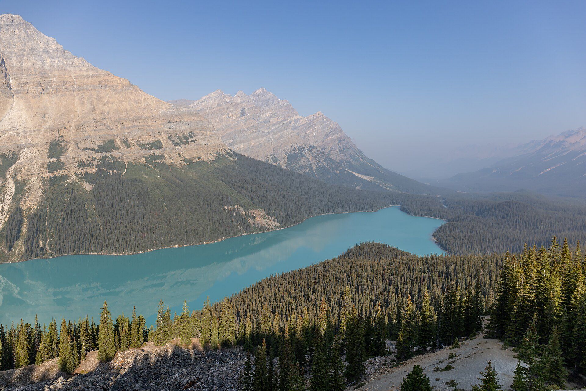 Turquoise Peyto Lake in a forested valley below limestone peaks, seen from Bow Summit, Banff National Park