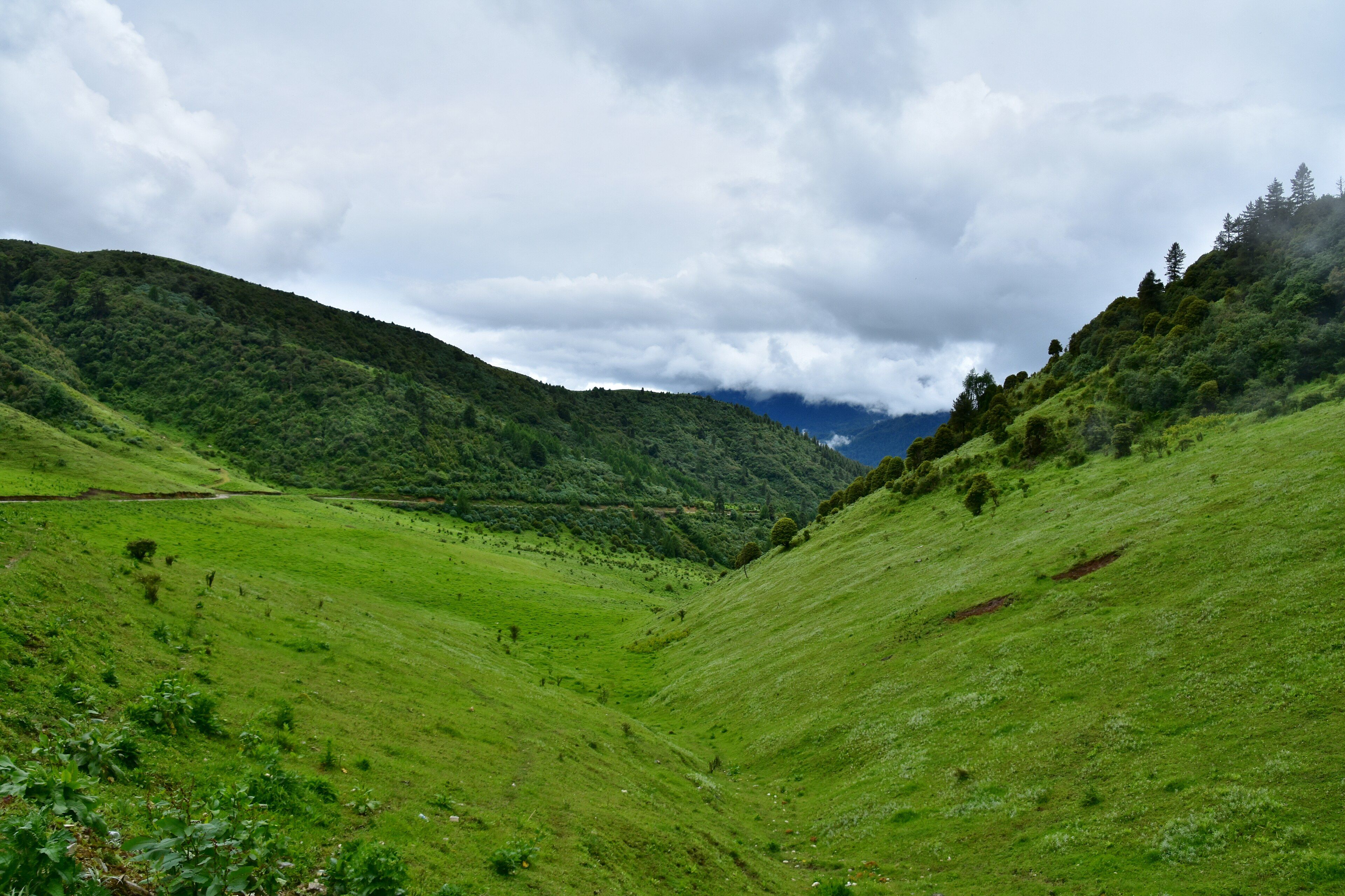 Phobjikha Valley, Wangdue Phodrang District, central Bhutan