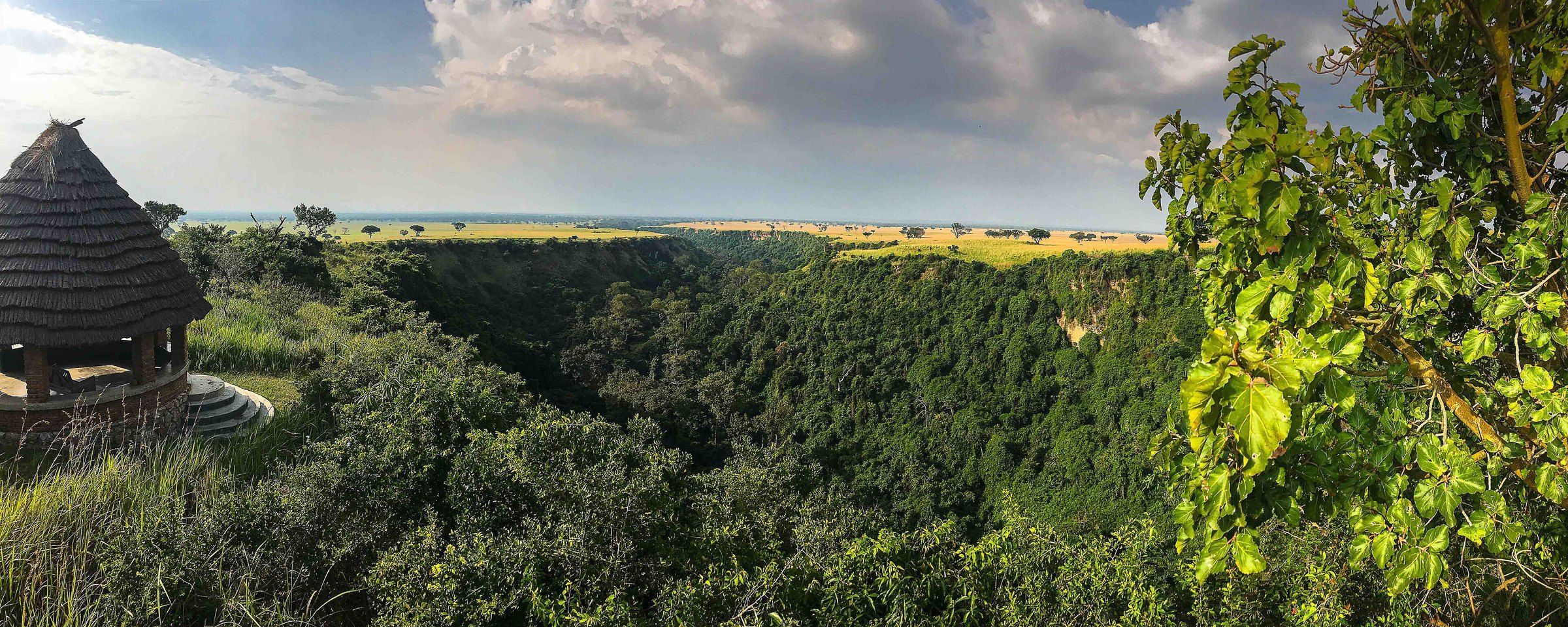 Forested Kyambura Gorge cutting through golden savanna in Queen Elizabeth National Park, Uganda