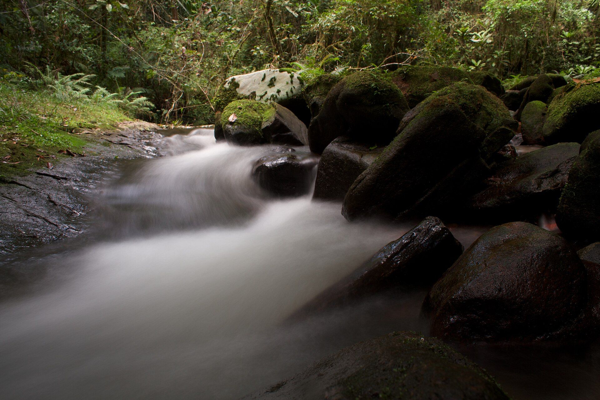 Forest stream tumbling over mossy boulders in the rainforest of Ranomafana National Park, Madagascar