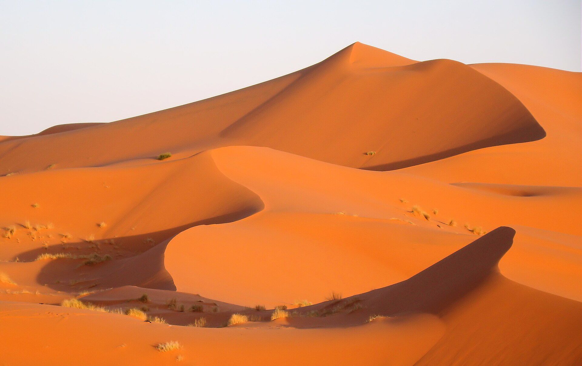 The Sahara (Erg Chebbi), Merzouga / Erg Chebbi, southeastern Morocco