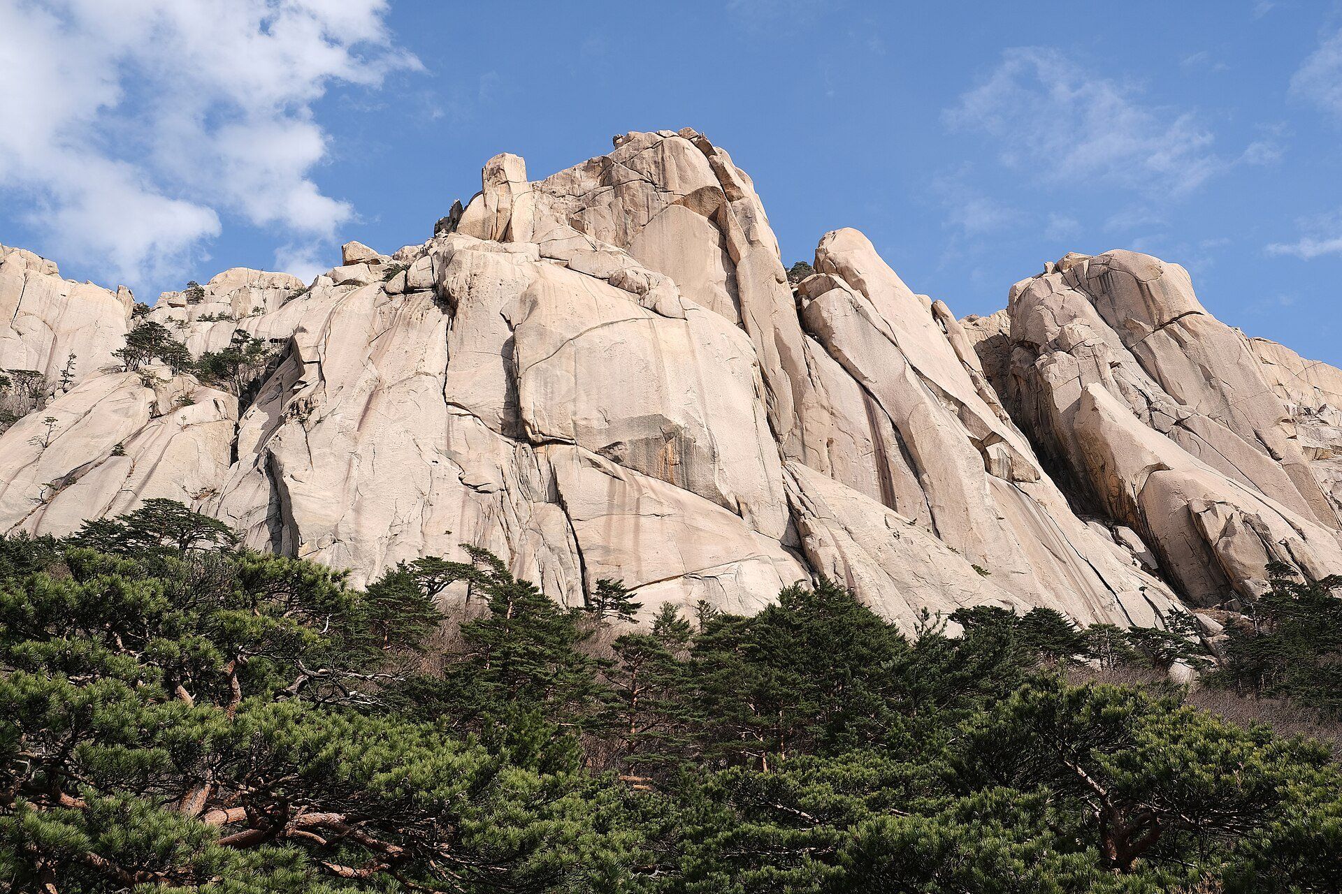 Pale granite towers and slabs rising above dark pine forest under a blue sky, Seoraksan National Park, South Korea