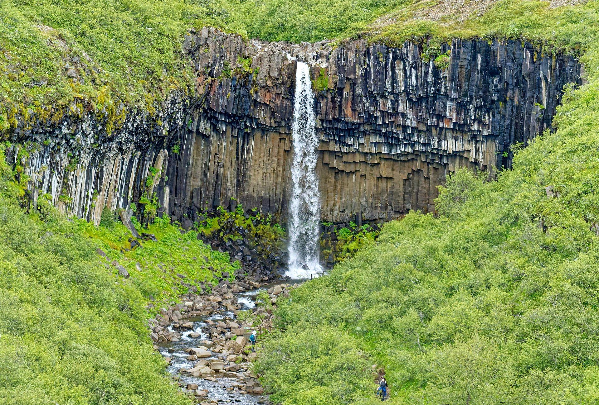 Svartifoss, Skaftafell, Vatnajökull National Park, South Iceland
