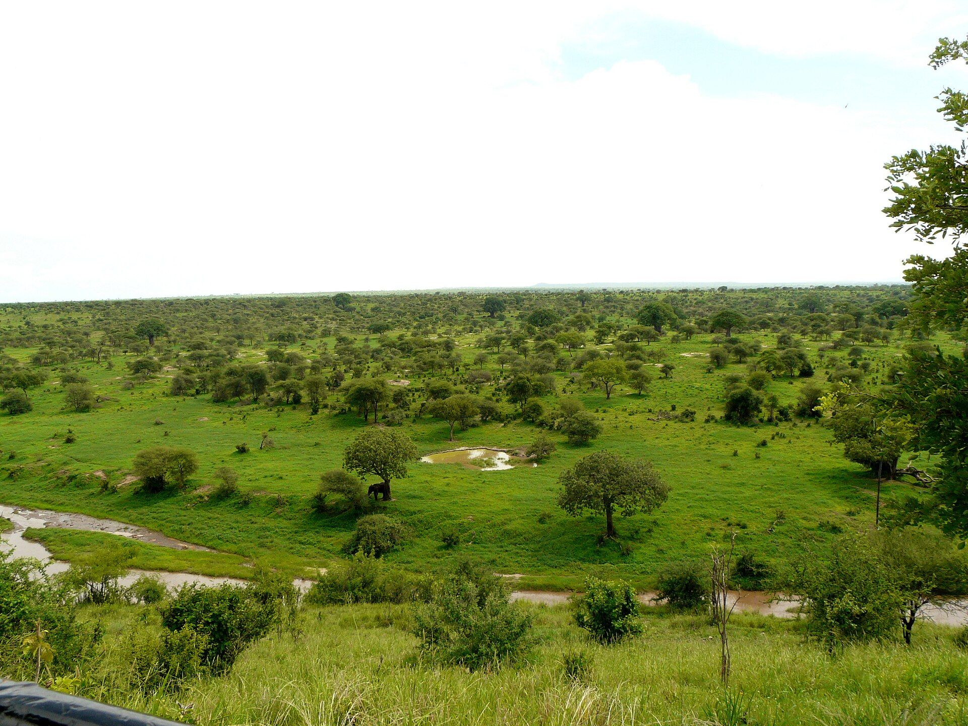 Tarangire National Park, Manyara Region, Northern Tanzania