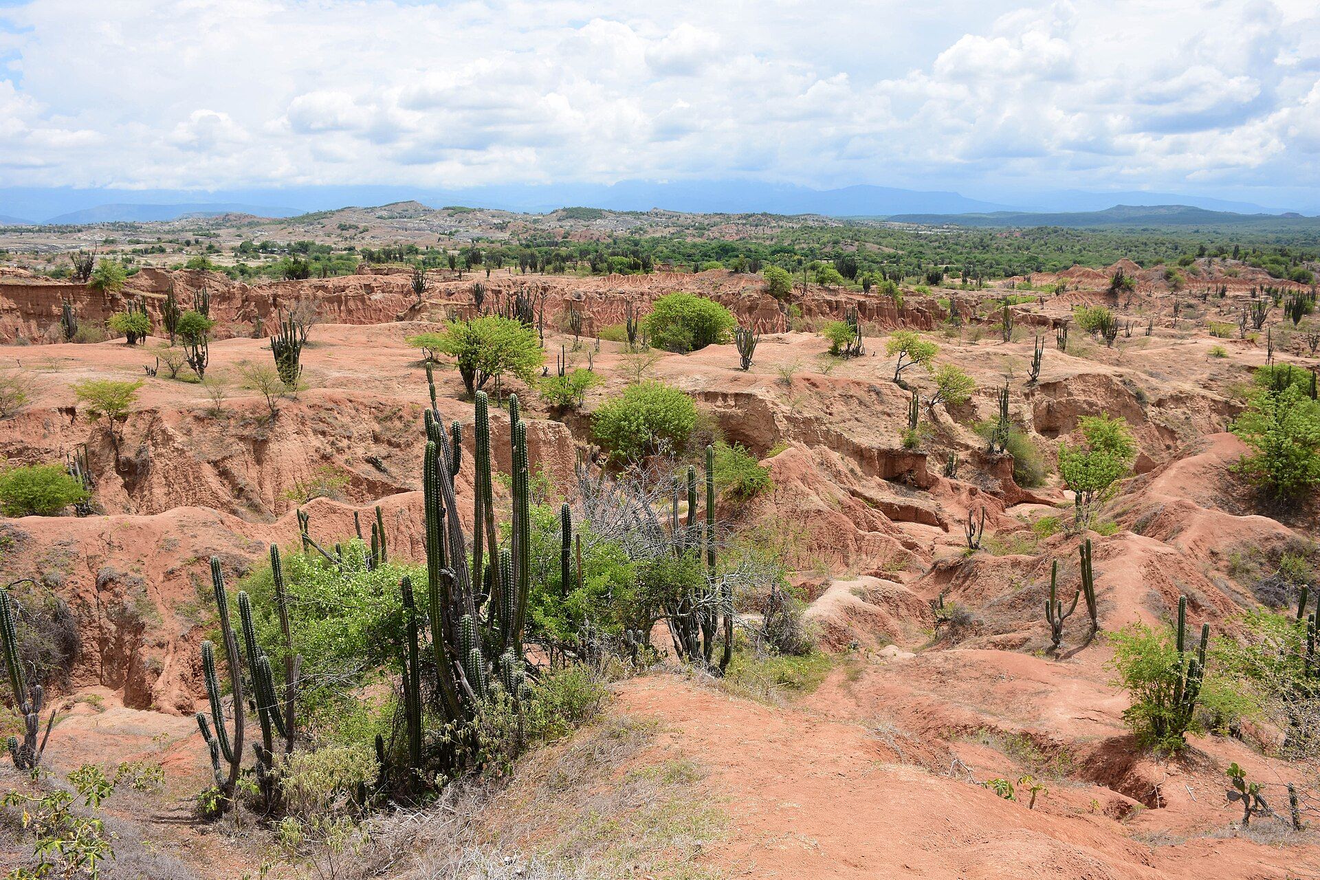 Tatacoa Desert, Huila, Colombia