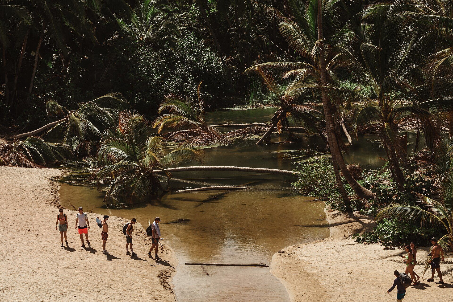 Tayrona National Park, Magdalena, Caribbean coast, Colombia