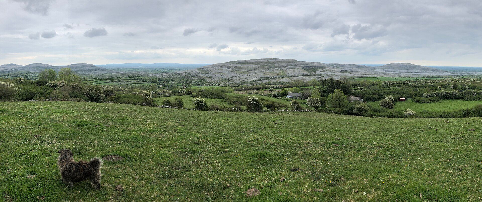 The Burren, County Clare, Ireland